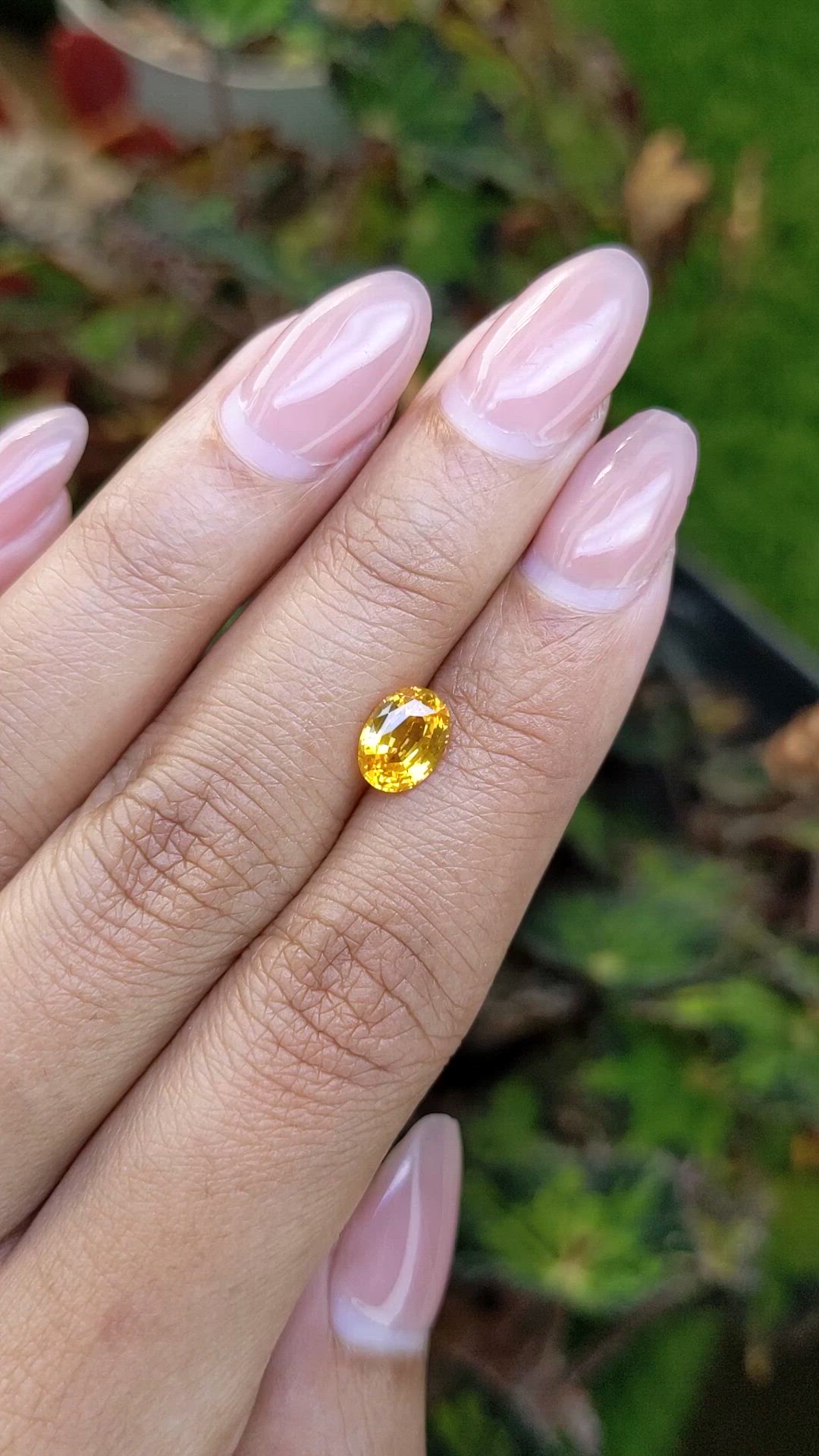 1.44 Ct. Orangish Yellow Sapphire from Ceylon (Sri Lanka) Size Video