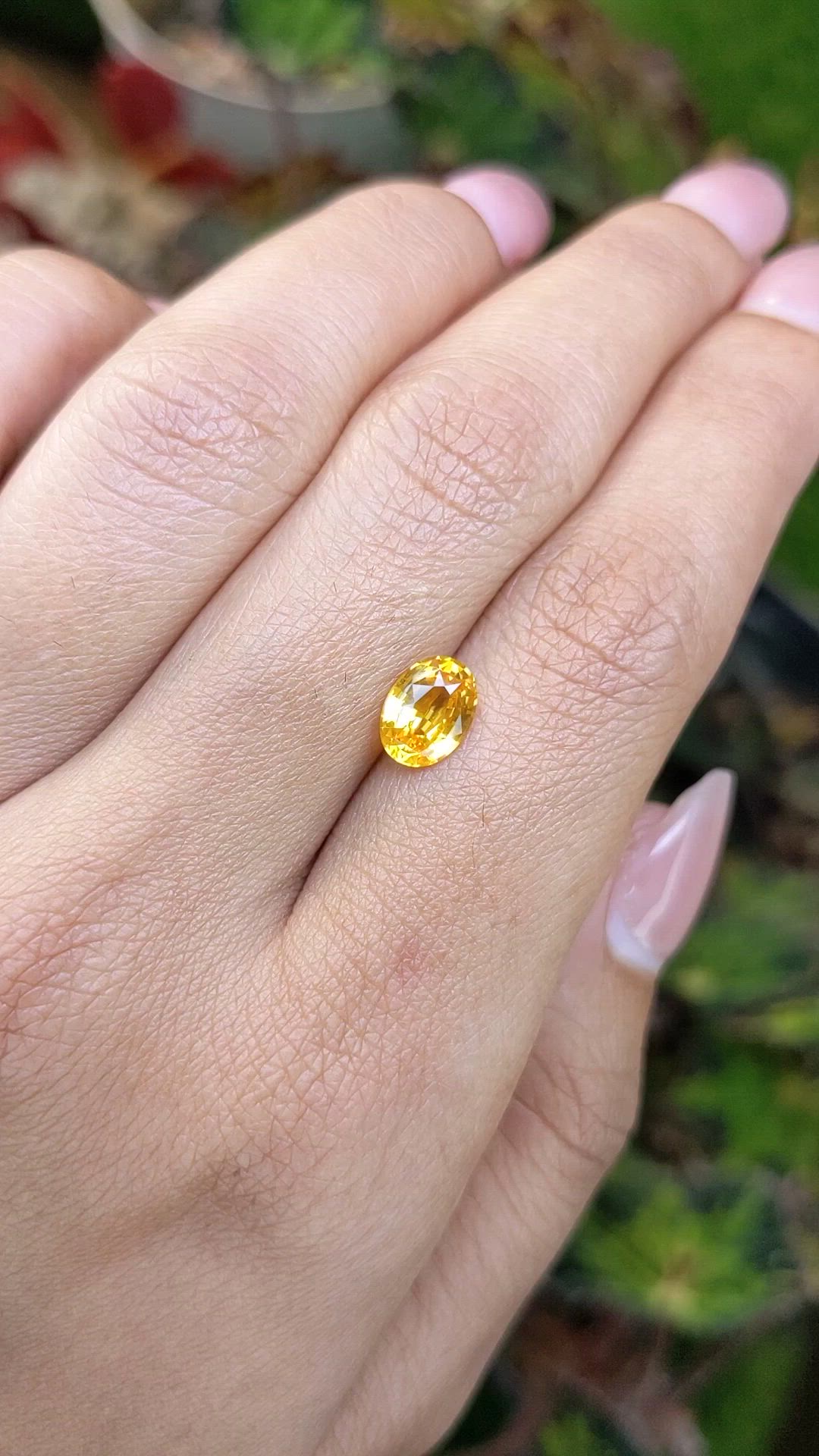 1.44 Ct. Orangish Yellow Sapphire from Ceylon (Sri Lanka) Size Video