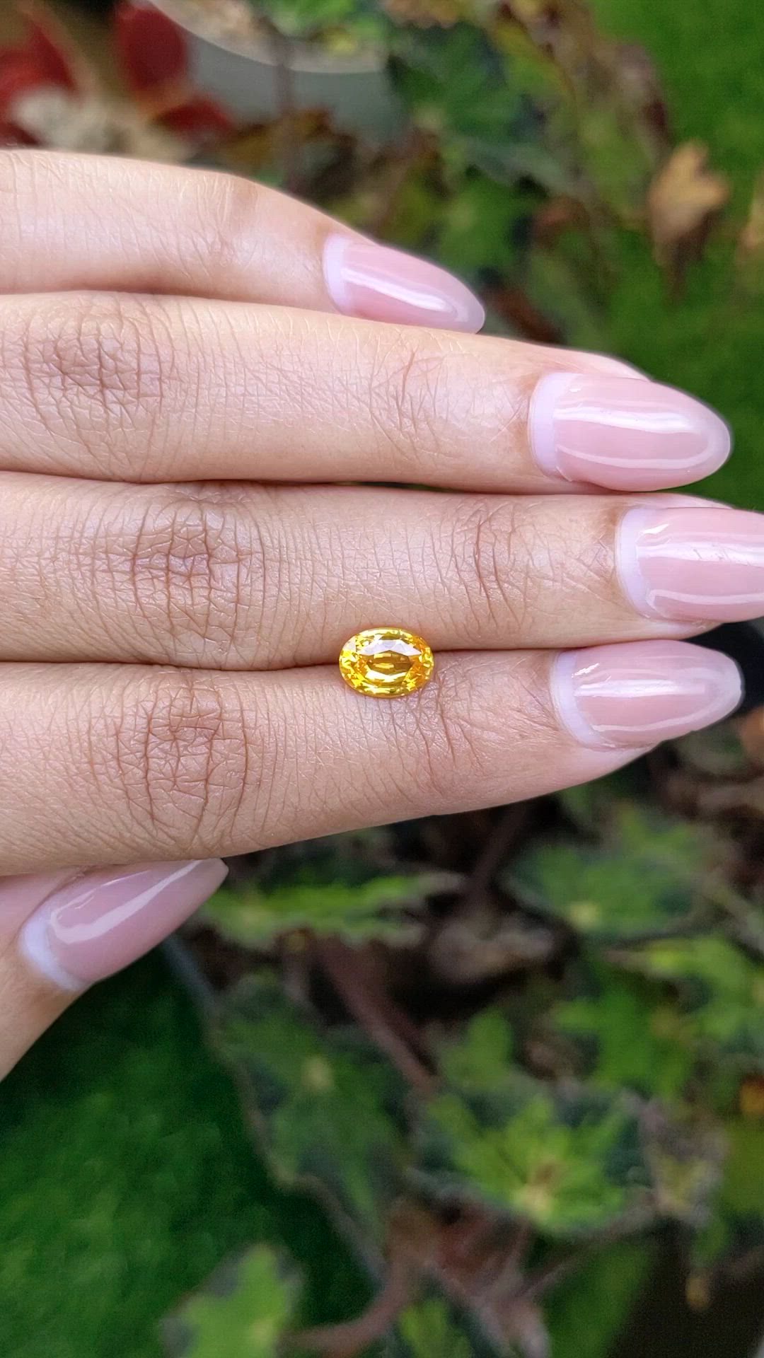 1.44 Ct. Orangish Yellow Sapphire from Ceylon (Sri Lanka) Size Video