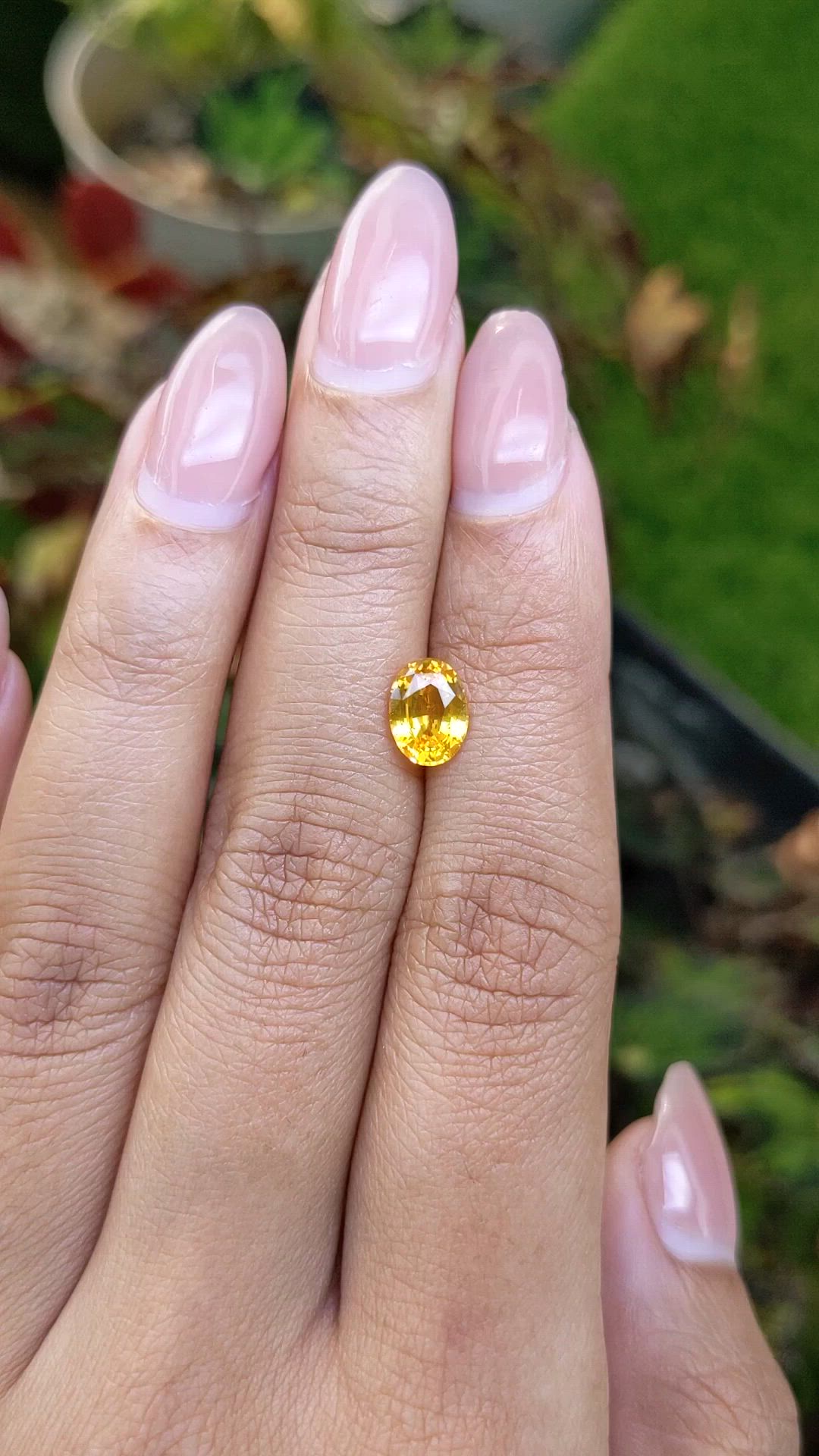 1.44 Ct. Orangish Yellow Sapphire from Ceylon (Sri Lanka) Size Video