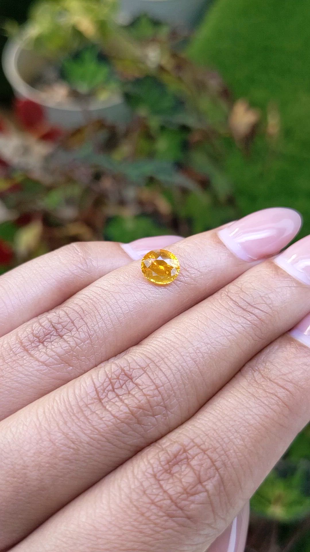 1.64 Ct. Orangish Yellow Sapphire from Ceylon (Sri Lanka) Size Video