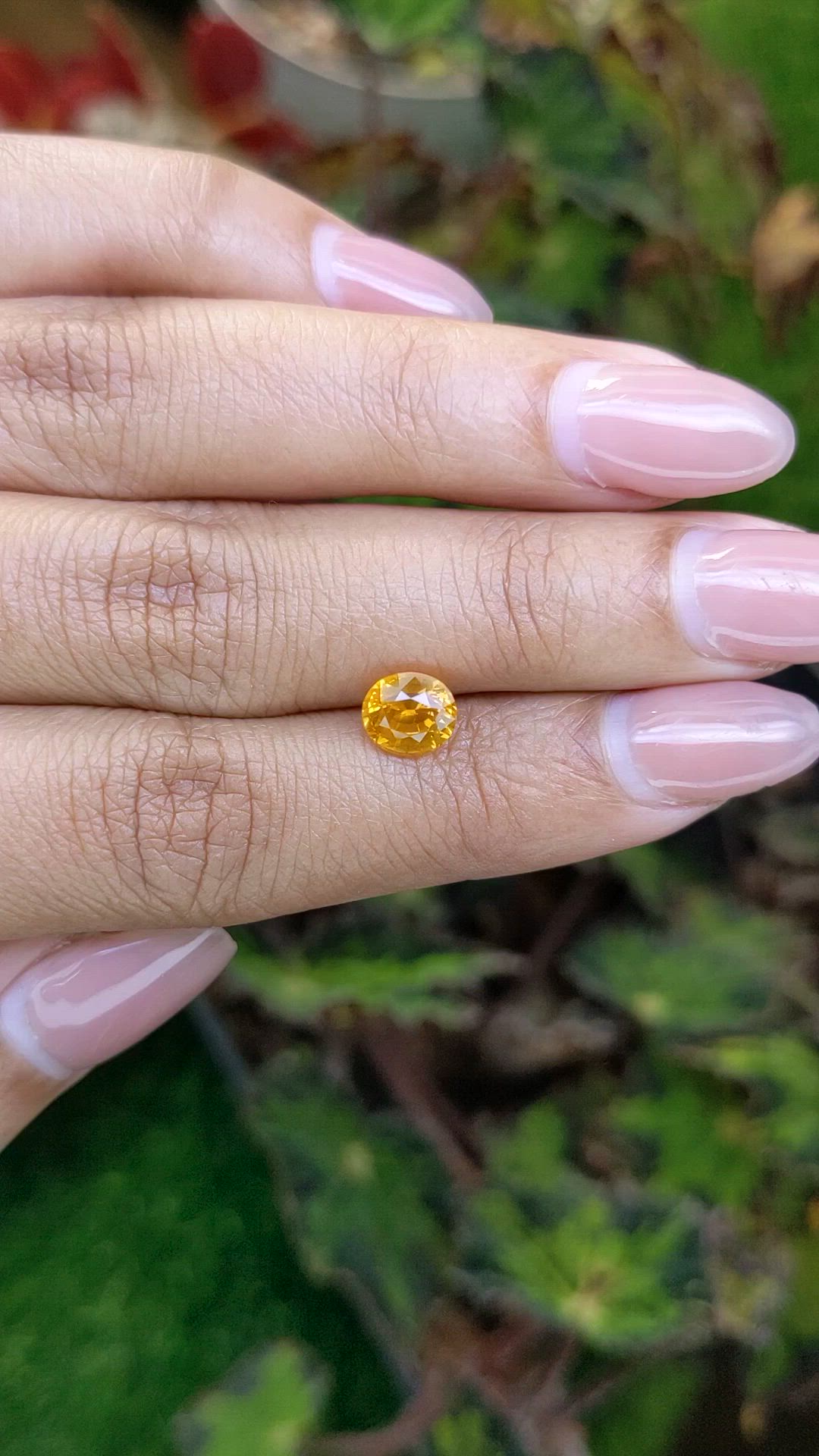 1.64 Ct. Orangish Yellow Sapphire from Ceylon (Sri Lanka) Size Video