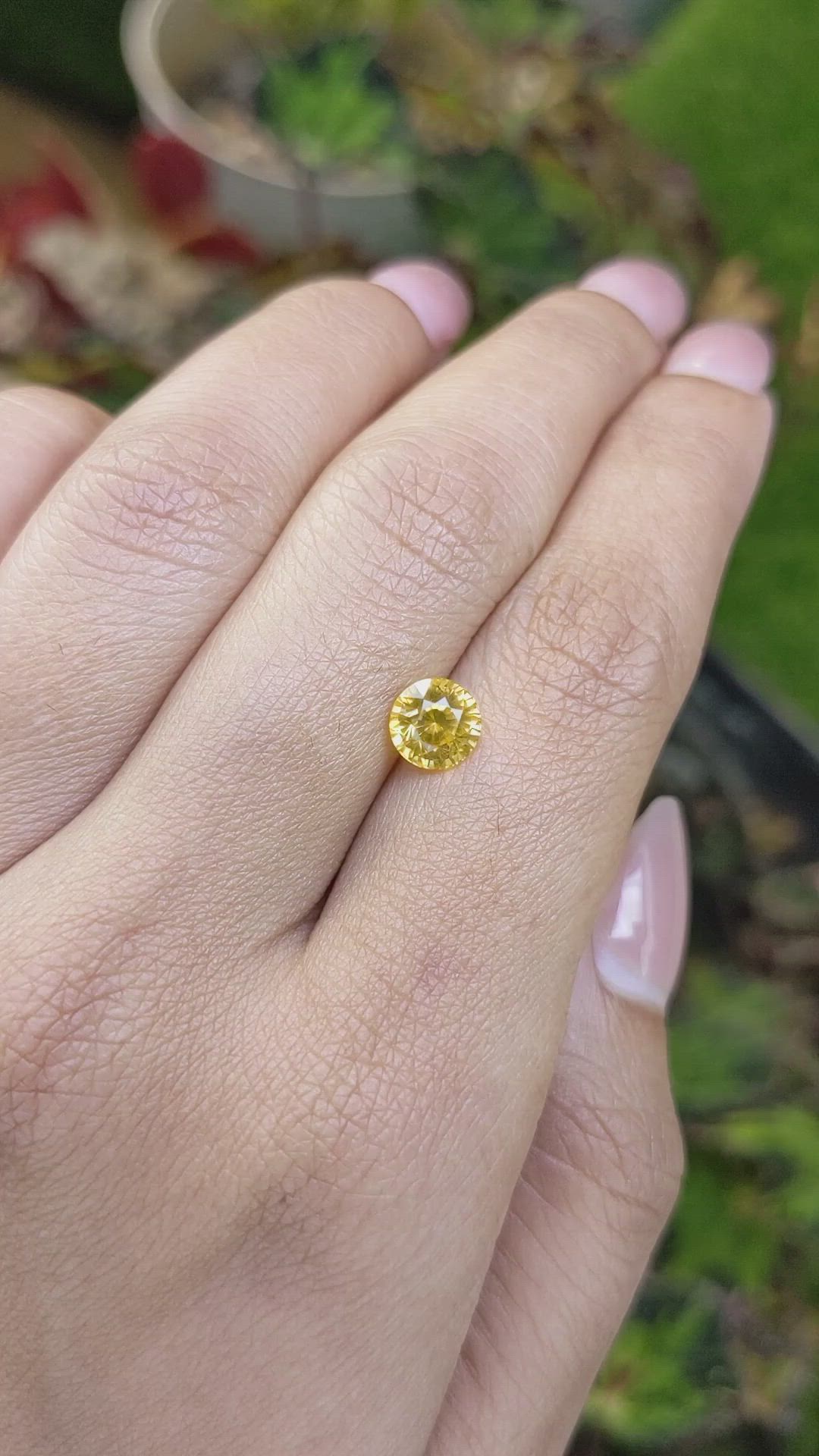 1.59 Ct. Yellow Sapphire from Ceylon (Sri Lanka) Size Video