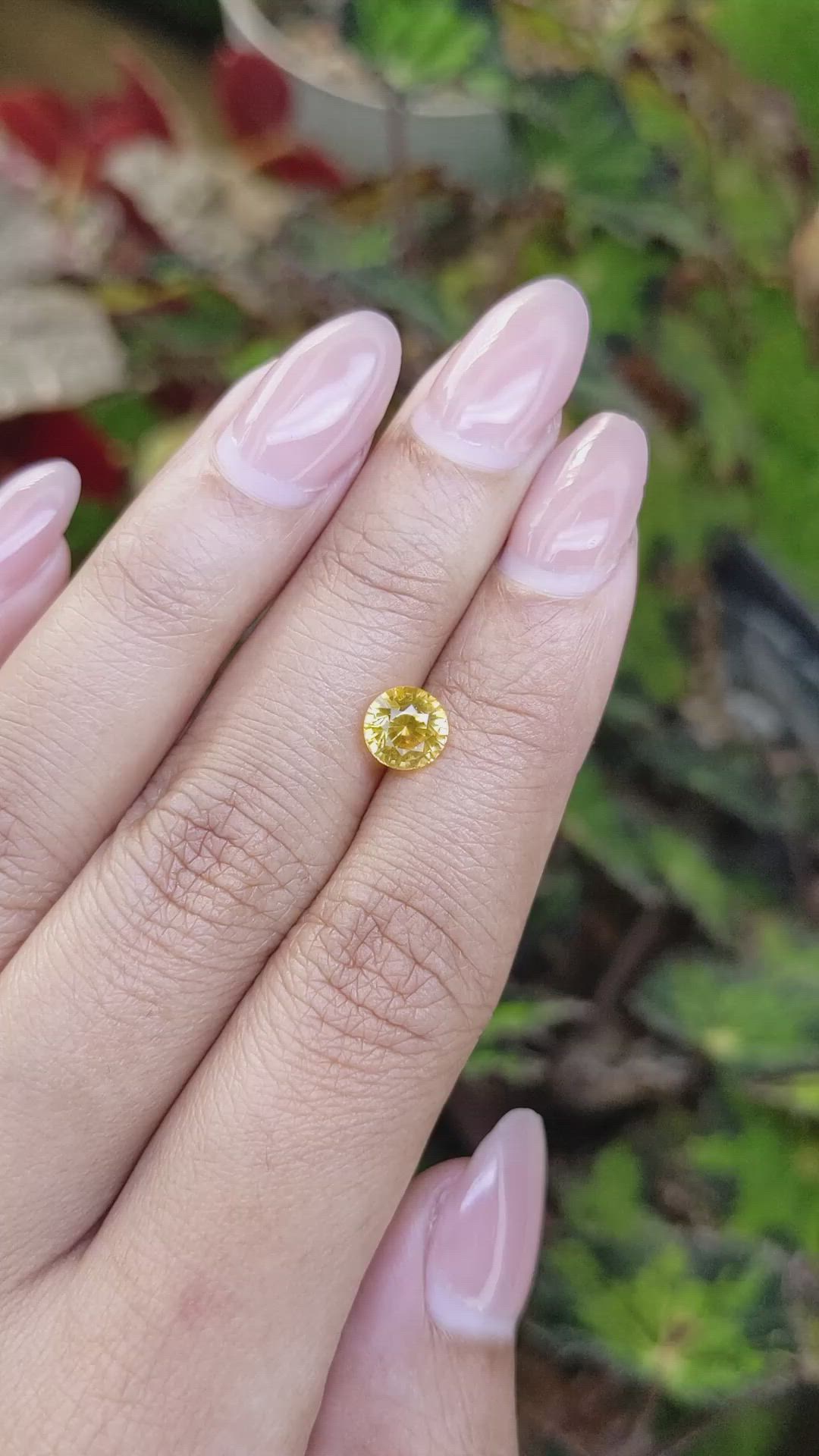 1.59 Ct. Yellow Sapphire from Ceylon (Sri Lanka) Size Video