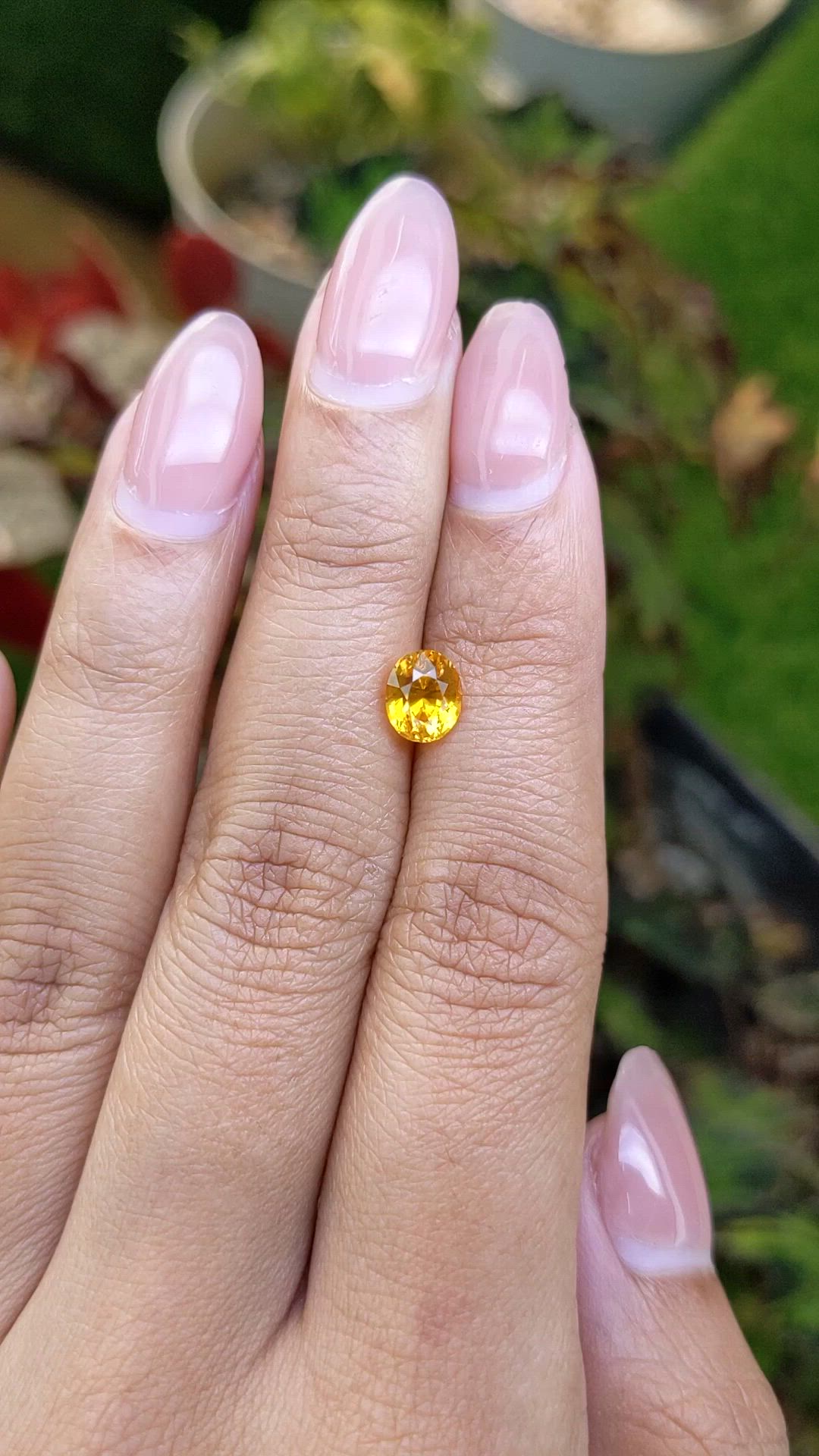 1.47 Ct. Yellow Sapphire from Ceylon (Sri Lanka) Size Video