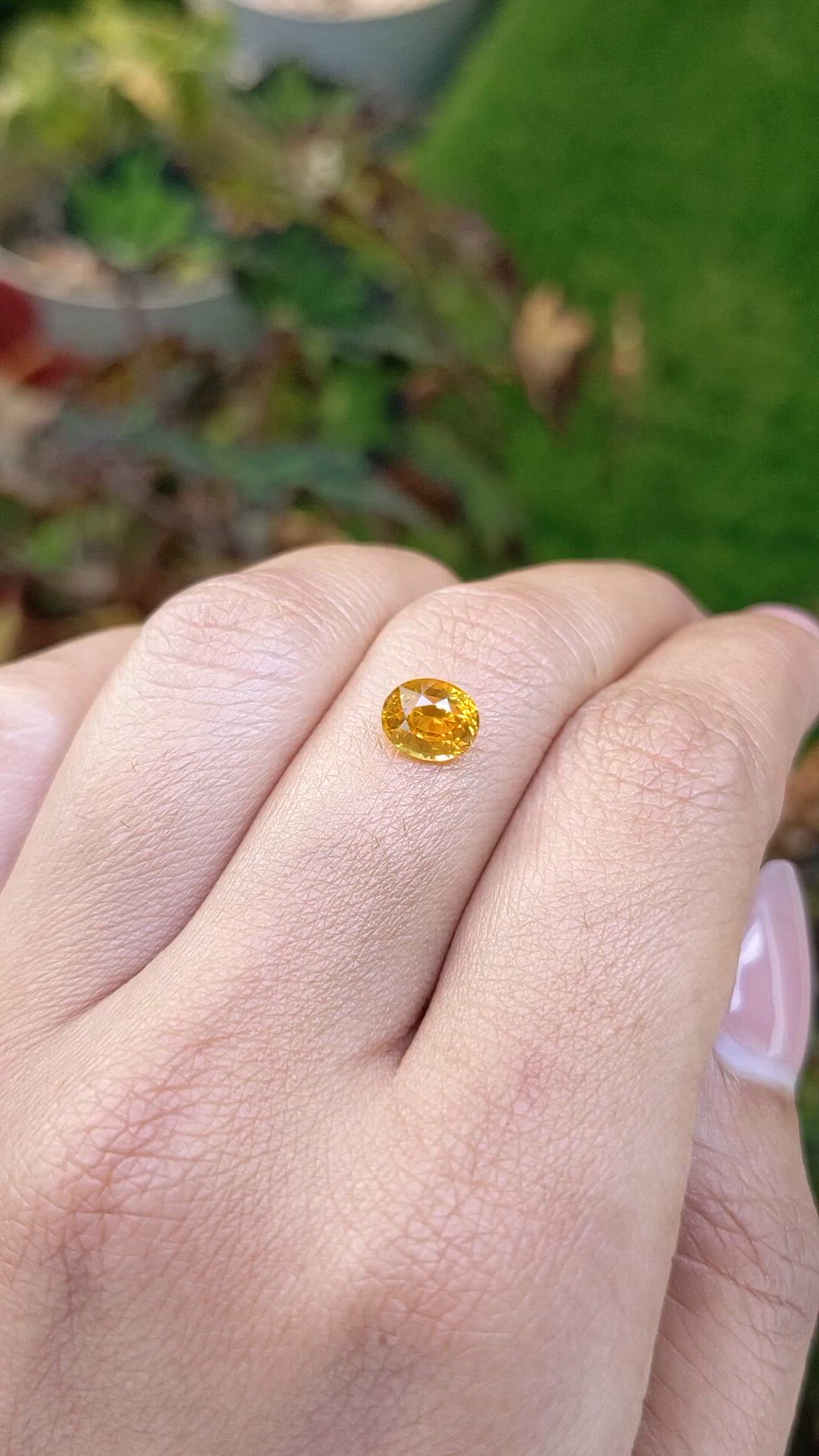 1.47 Ct. Yellow Sapphire from Ceylon (Sri Lanka) Size Video