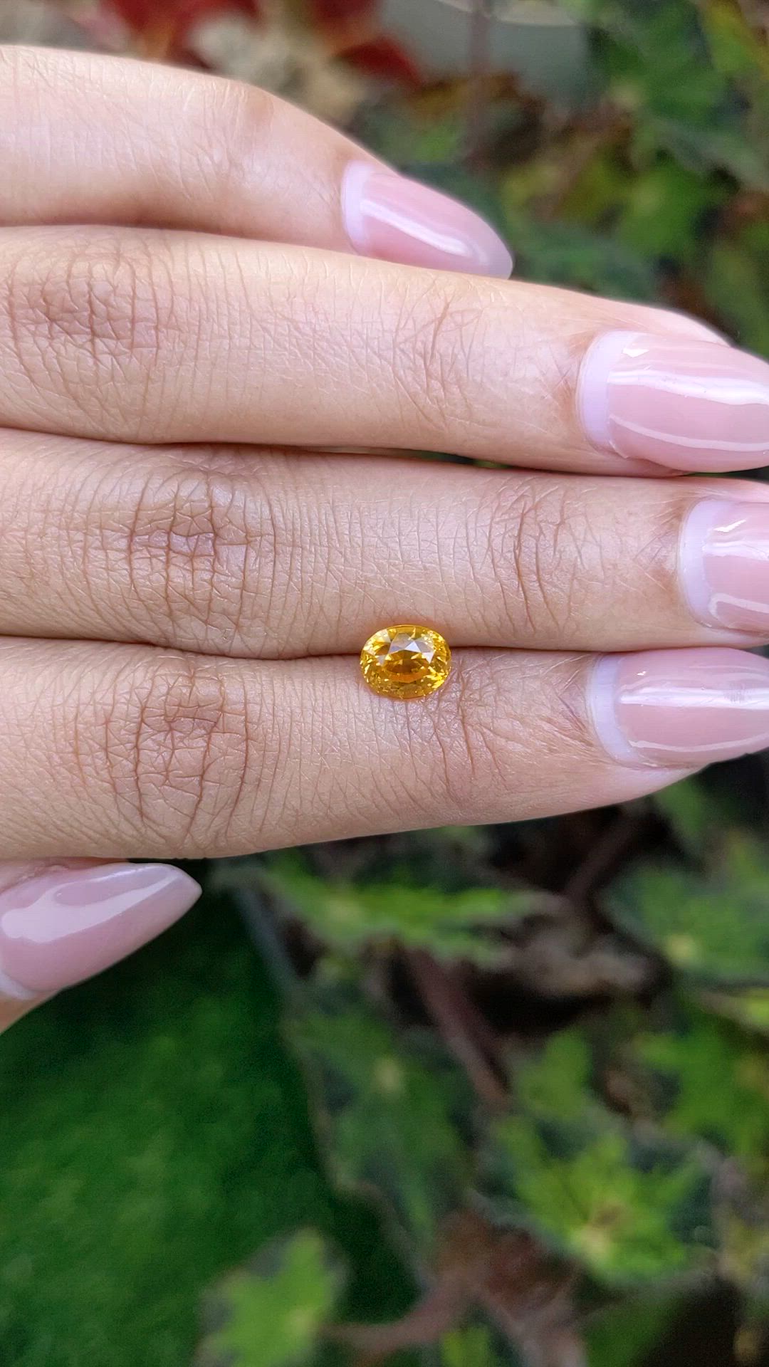 1.47 Ct. Yellow Sapphire from Ceylon (Sri Lanka) Size Video