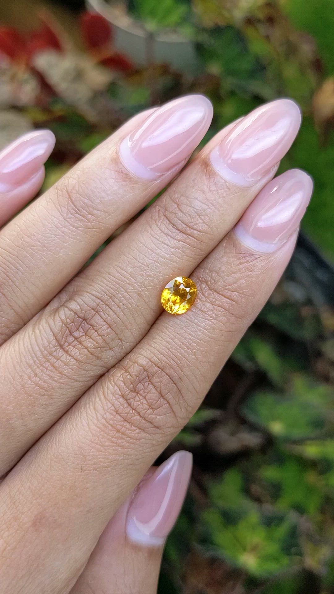 1.47 Ct. Yellow Sapphire from Ceylon (Sri Lanka) Size Video