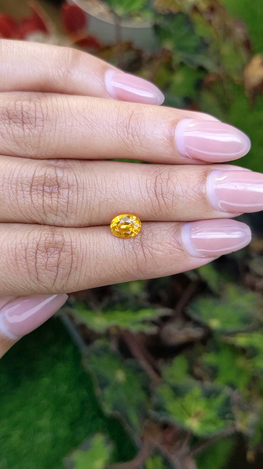 1.43 Ct. Orangish Yellow Sapphire from Ceylon (Sri Lanka) Size Video