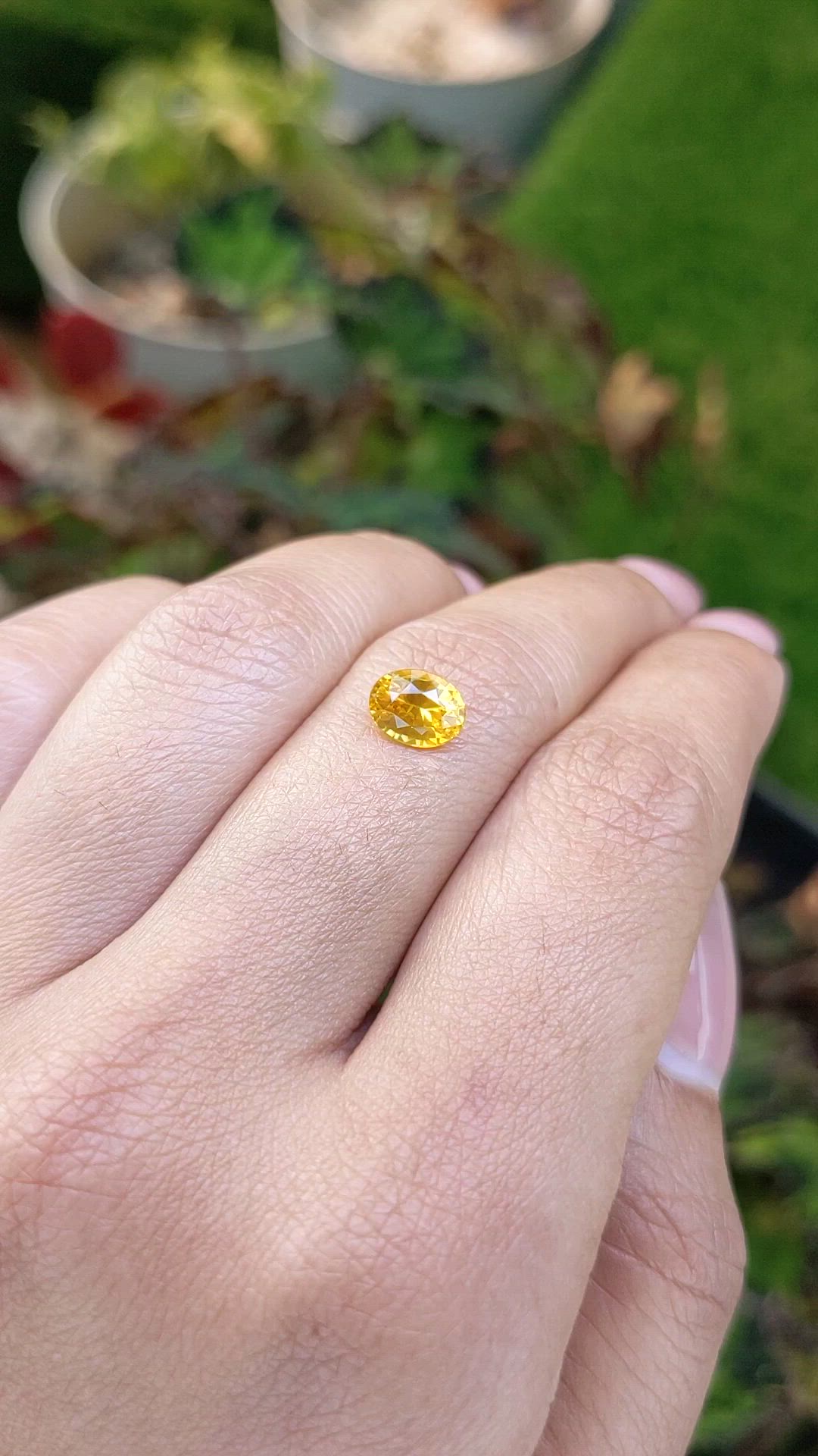 1.43 Ct. Orangish Yellow Sapphire from Ceylon (Sri Lanka) Size Video