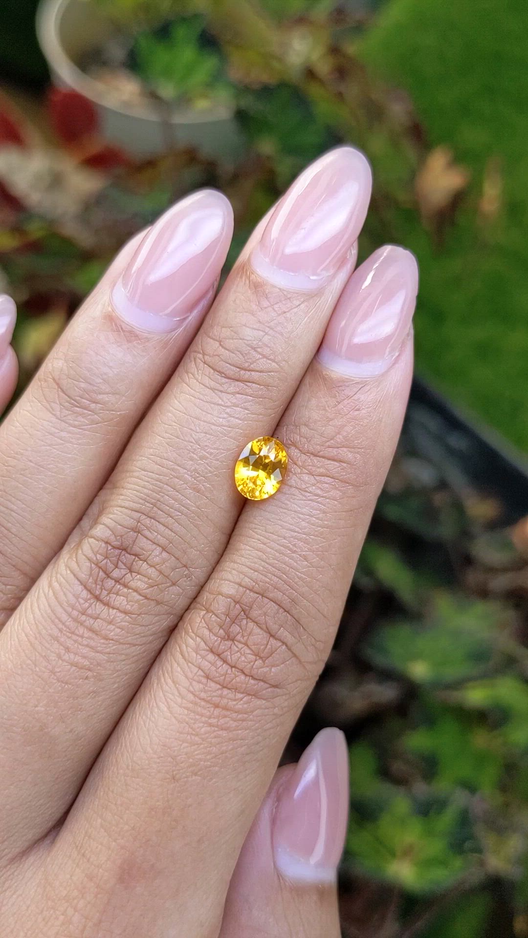 1.43 Ct. Orangish Yellow Sapphire from Ceylon (Sri Lanka) Size Video