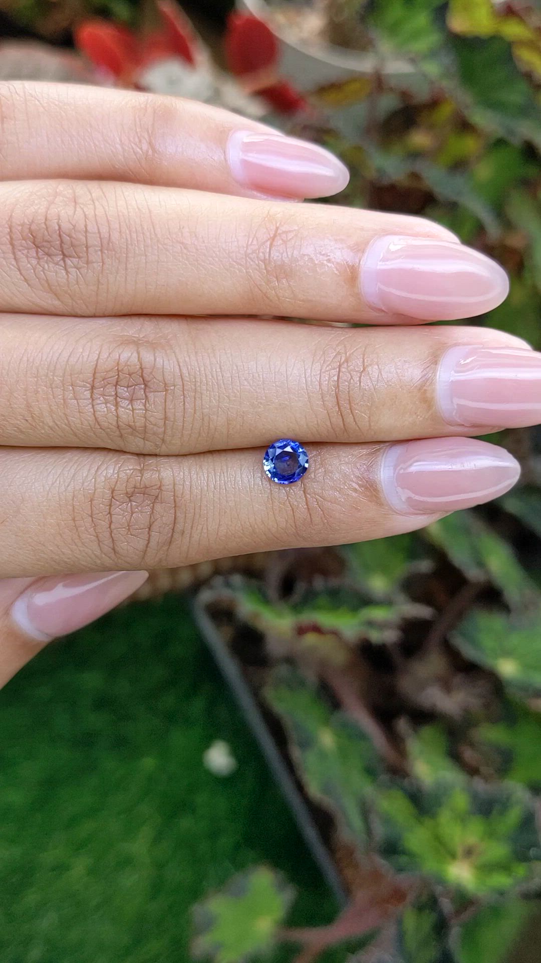 0.63 Ct. Blue Sapphire from Ceylon (Sri Lanka) Size Video