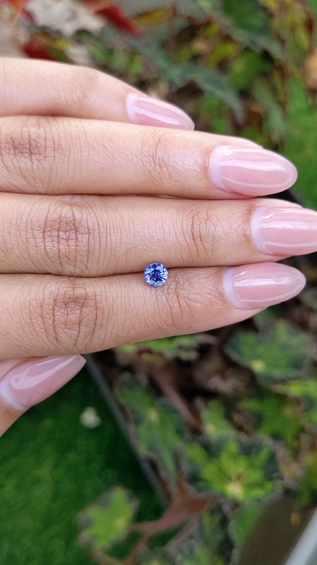 0.59 Ct. Blue Sapphire from Ceylon (Sri Lanka) Size Video