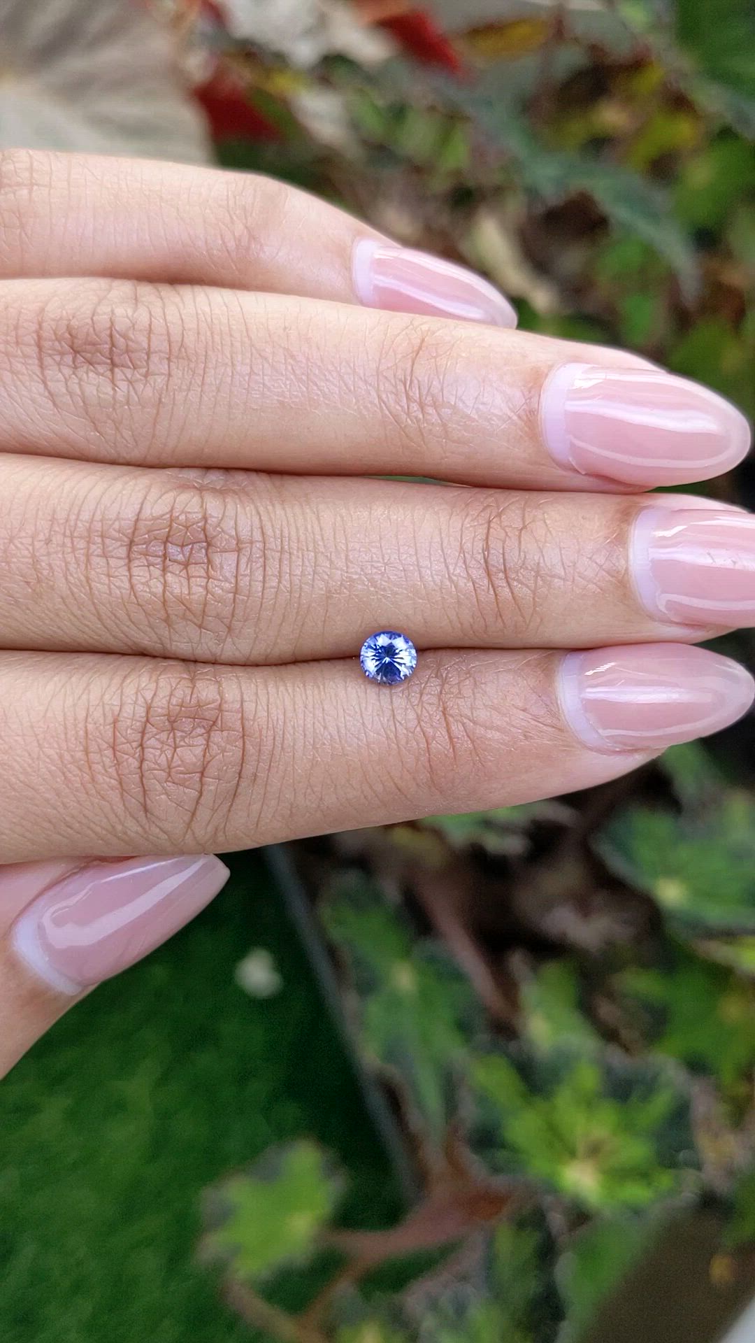 0.53 Ct. Blue Sapphire from Ceylon (Sri Lanka) Size Video