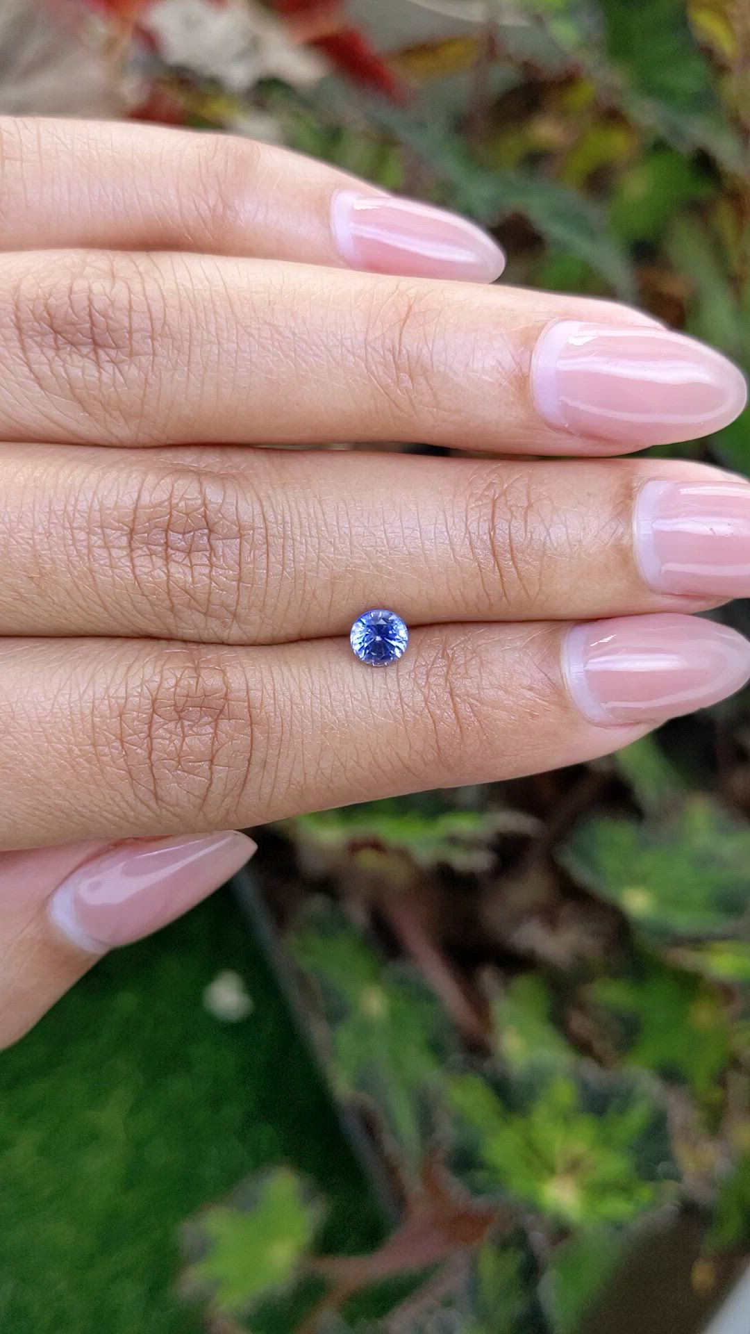 0.61 Ct. Blue Sapphire from Ceylon (Sri Lanka) Size Video
