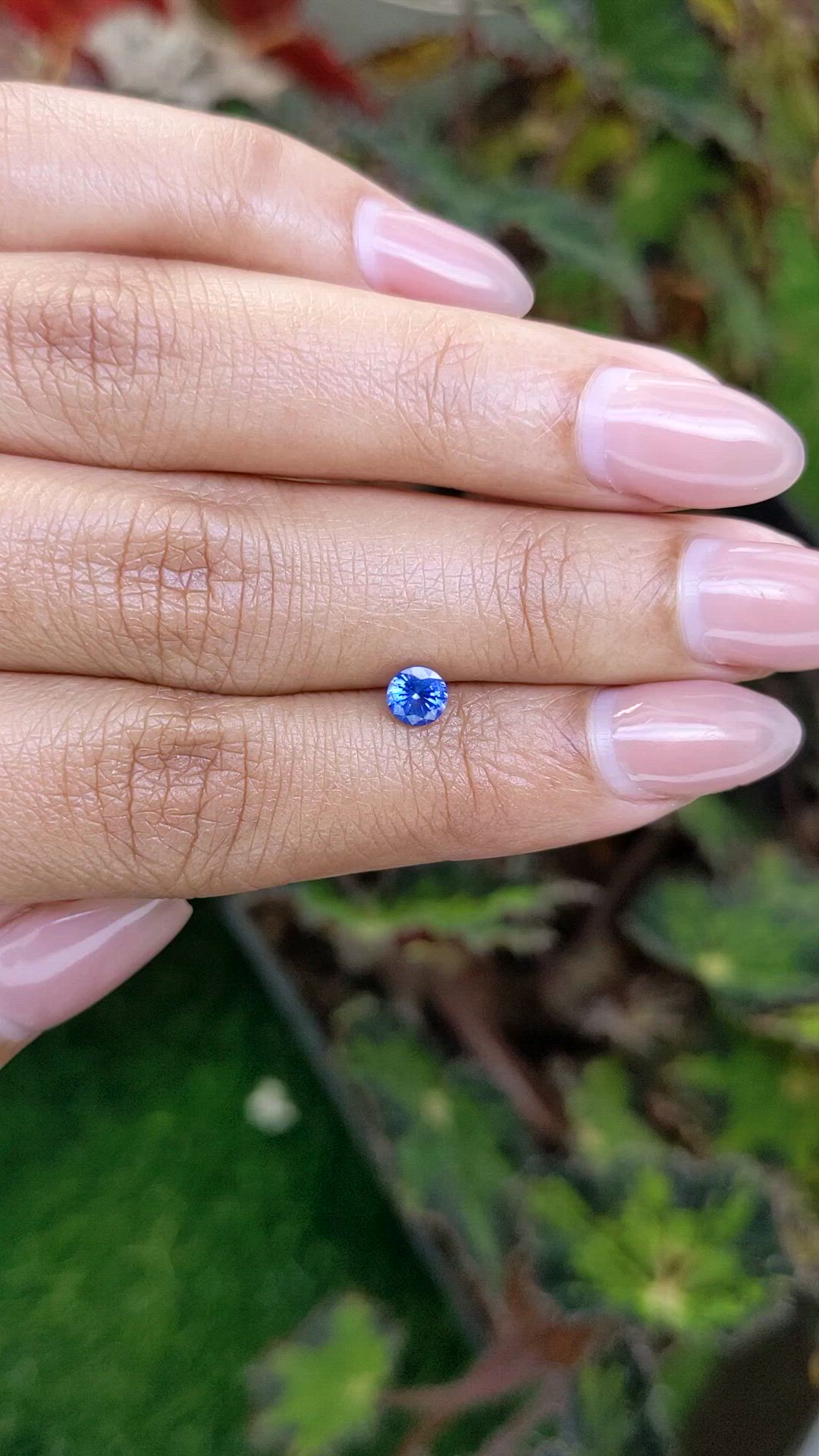 0.48 Ct. Blue Sapphire from Ceylon (Sri Lanka) Size Video