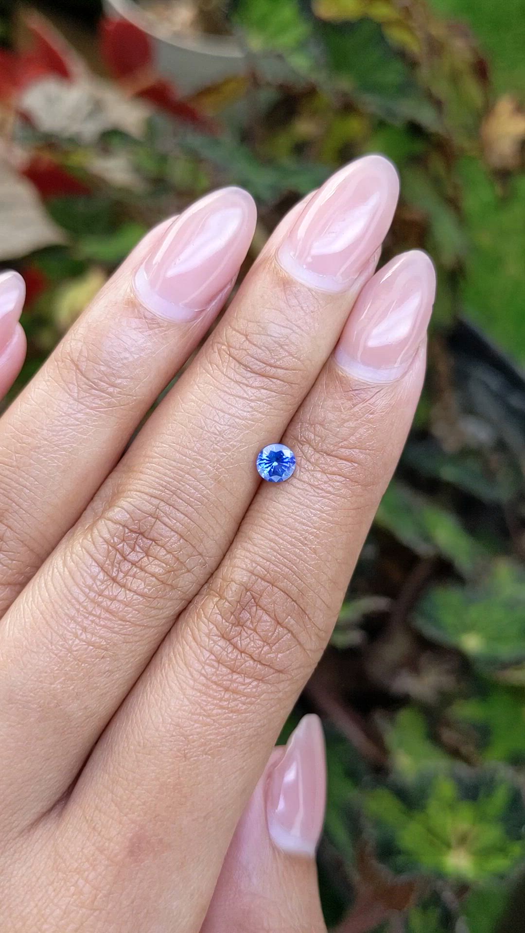 0.48 Ct. Blue Sapphire from Ceylon (Sri Lanka) Size Video