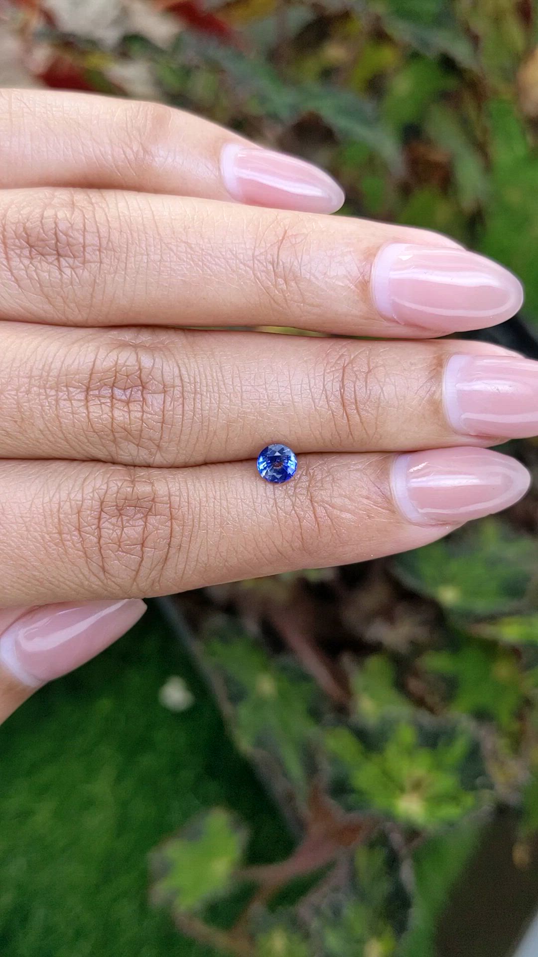 0.53 Ct. Blue Sapphire from Ceylon (Sri Lanka) Size Video