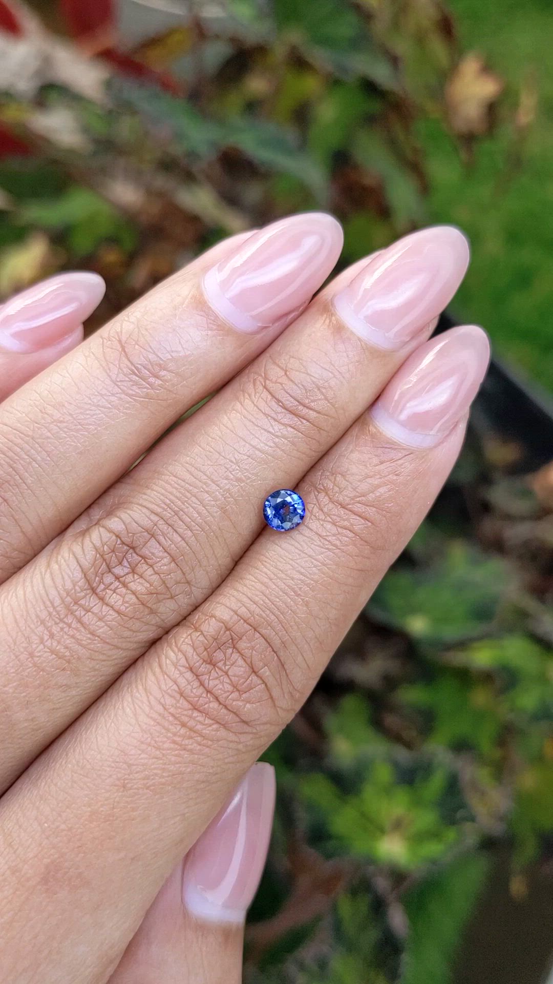 0.53 Ct. Blue Sapphire from Ceylon (Sri Lanka) Size Video