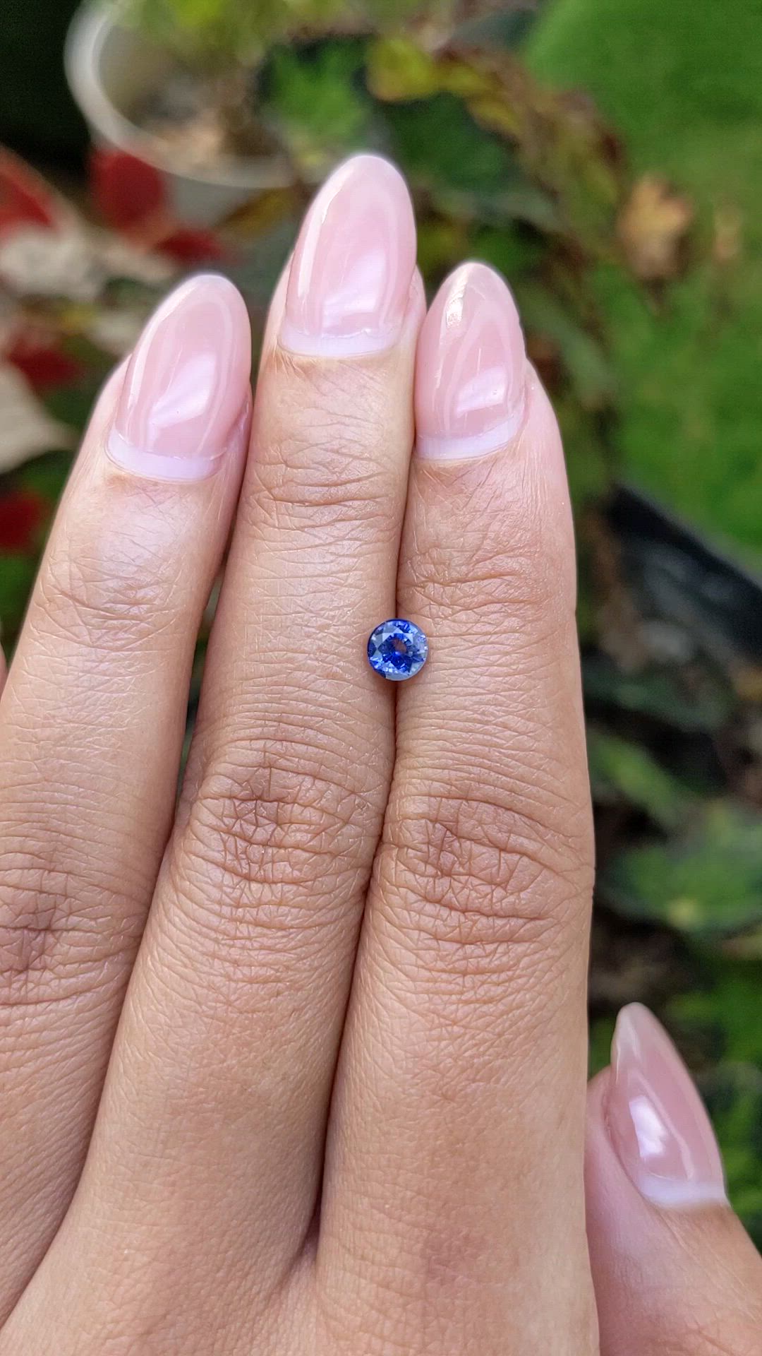 0.53 Ct. Blue Sapphire from Ceylon (Sri Lanka) Size Video
