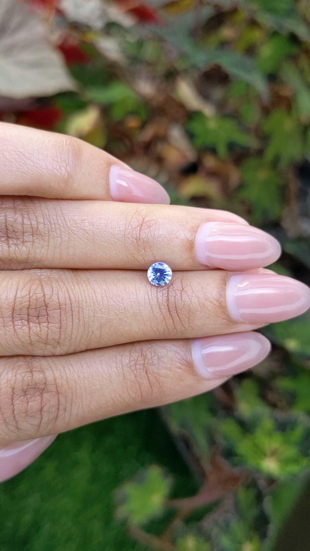 0.53 Ct. Blue Sapphire from Ceylon (Sri Lanka) Size Video