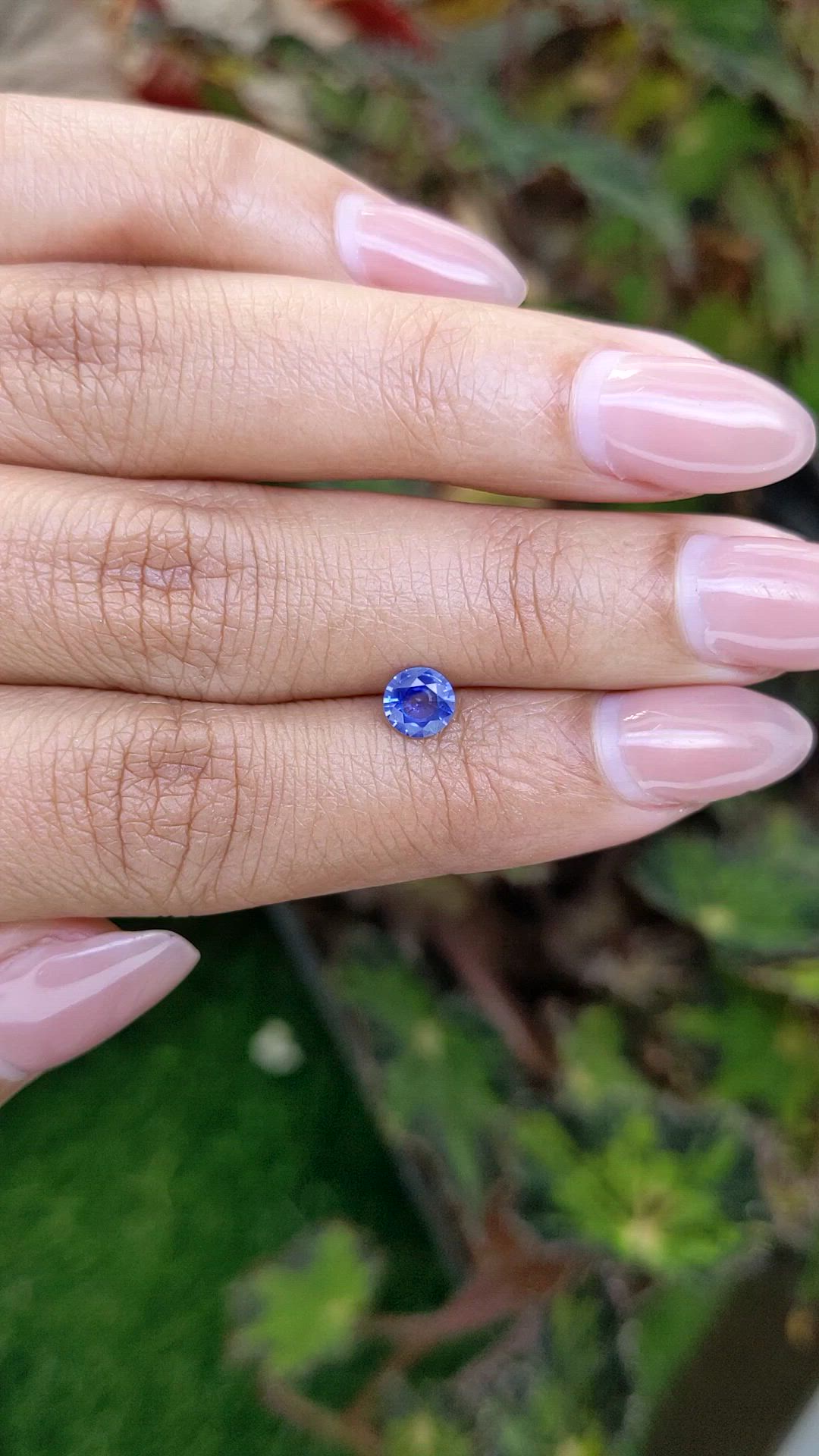 0.55 Ct. Blue Sapphire from Ceylon (Sri Lanka) Size Video