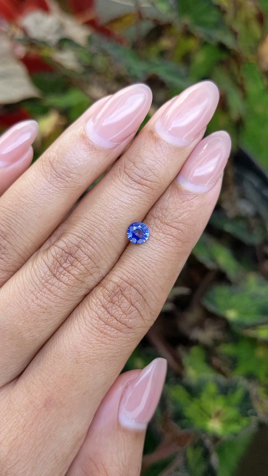 0.55 Ct. Blue Sapphire from Ceylon (Sri Lanka) Size Video