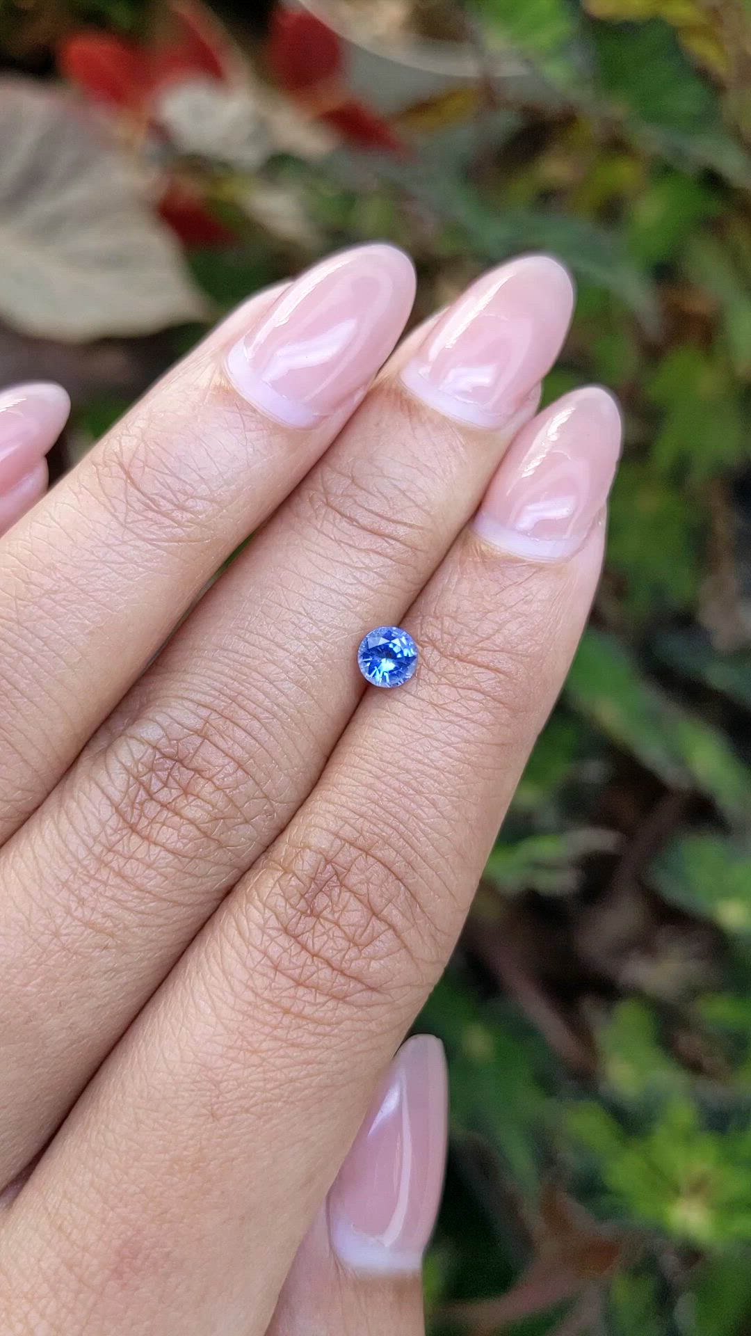0.52 Ct. Blue Sapphire from Ceylon (Sri Lanka) Size Video