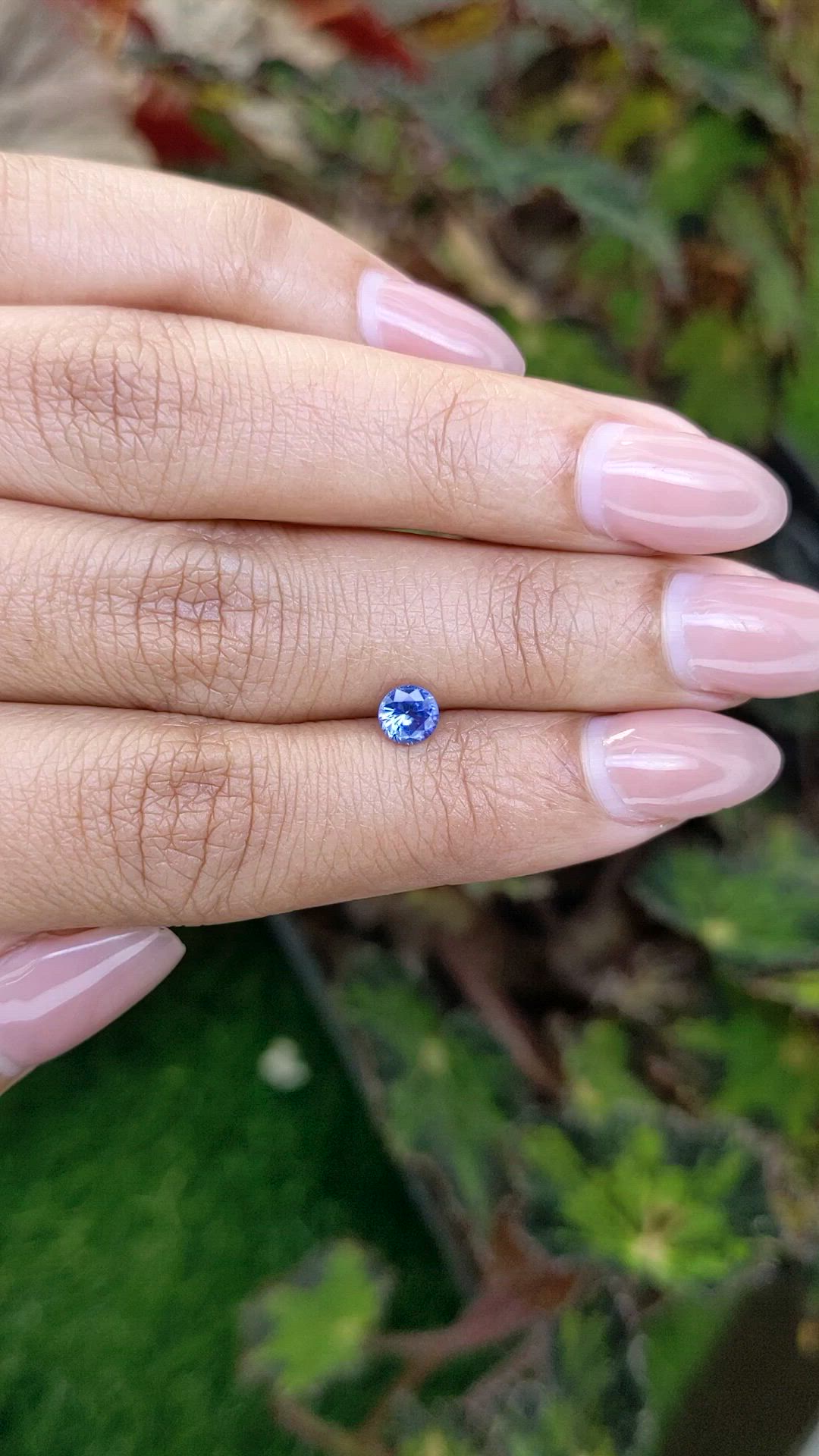 0.52 Ct. Blue Sapphire from Ceylon (Sri Lanka) Size Video