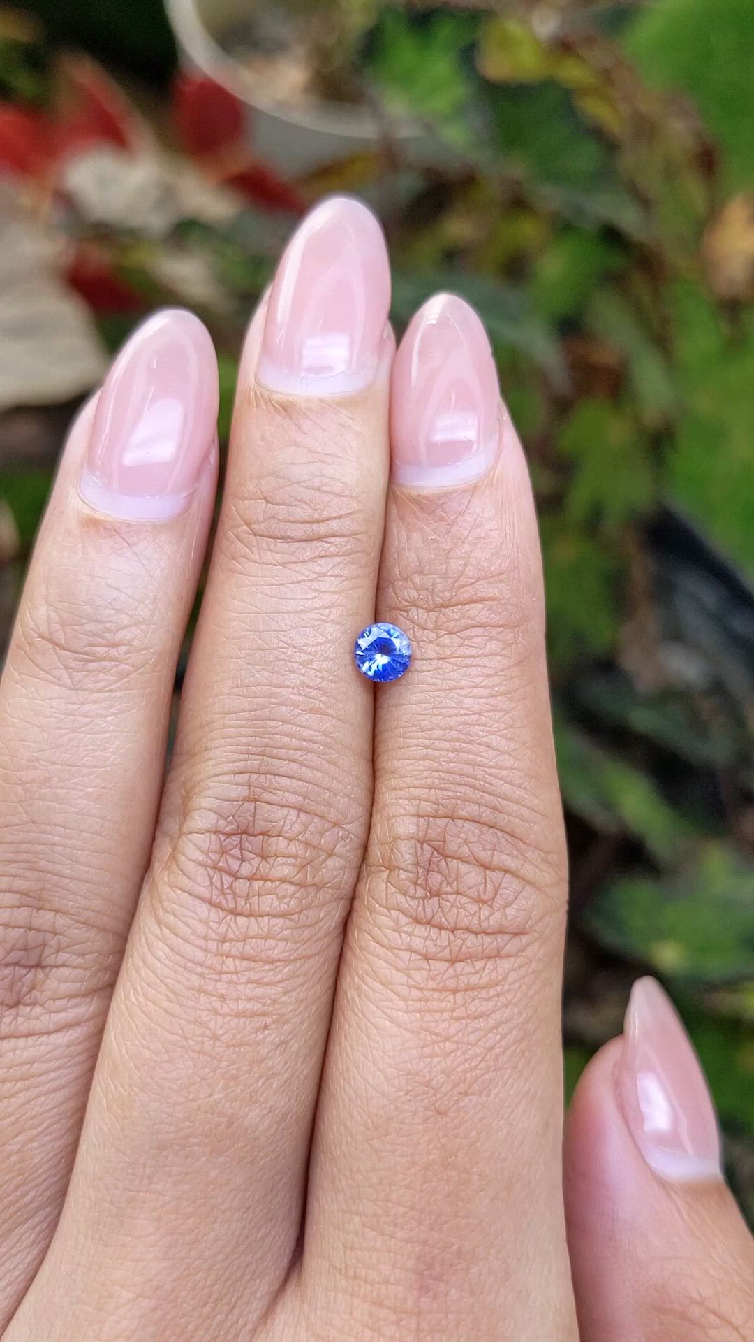 0.45 Ct. Blue Sapphire from Ceylon (Sri Lanka) Size Video