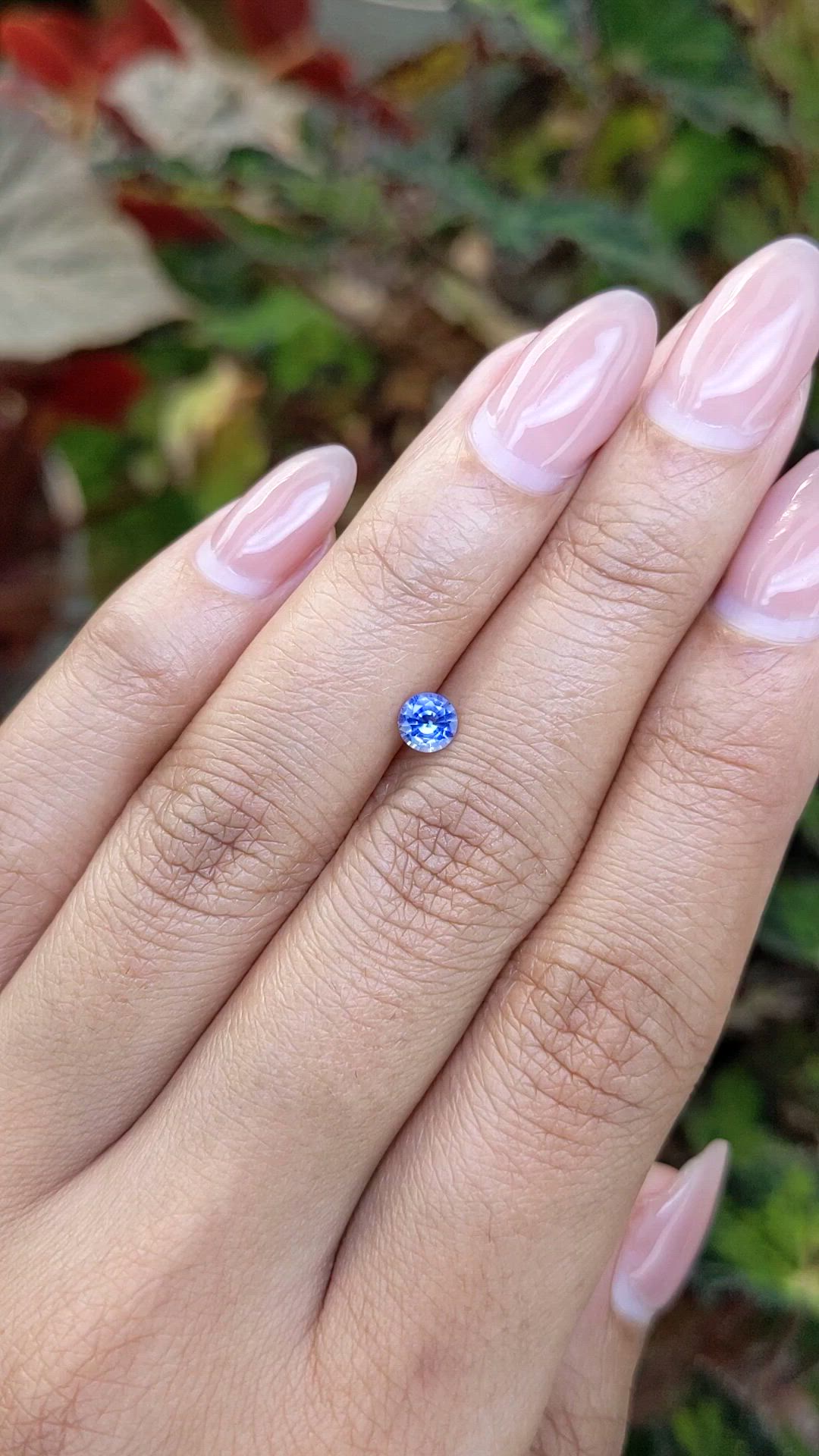 0.42 Ct. Blue Sapphire from Ceylon (Sri Lanka) Size Video