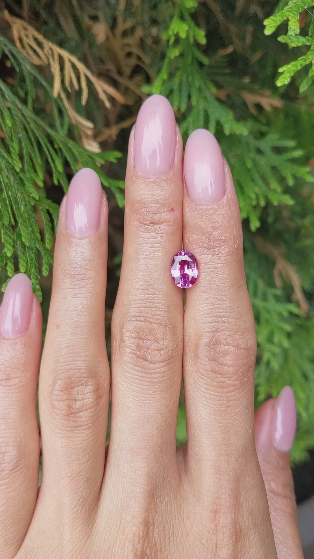 1.92 Ct. Pink Sapphire from Ceylon (Sri Lanka) Size Video