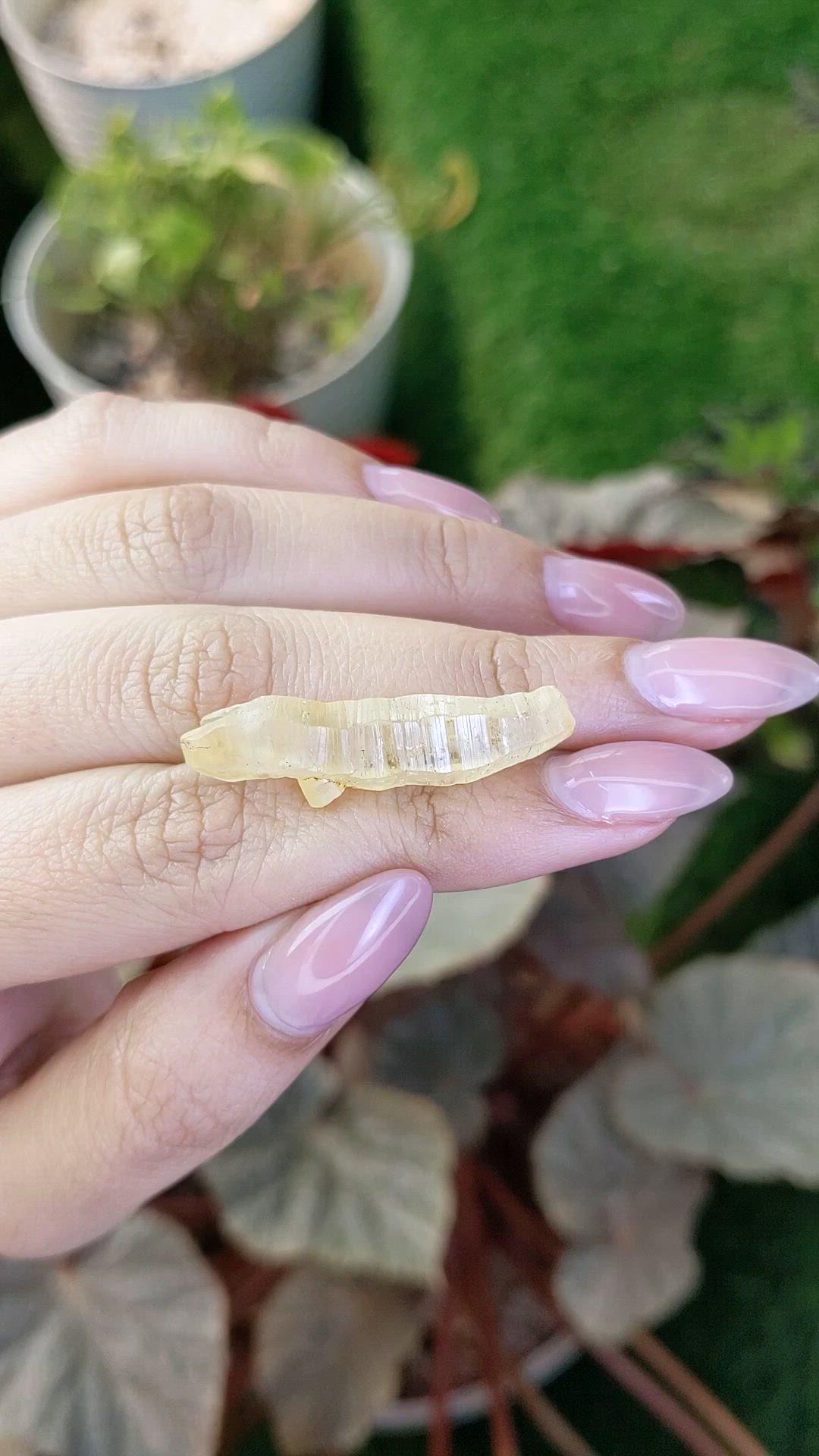24.68 Ct. Yellow Sapphire from Ceylon (Sri Lanka) Size Video