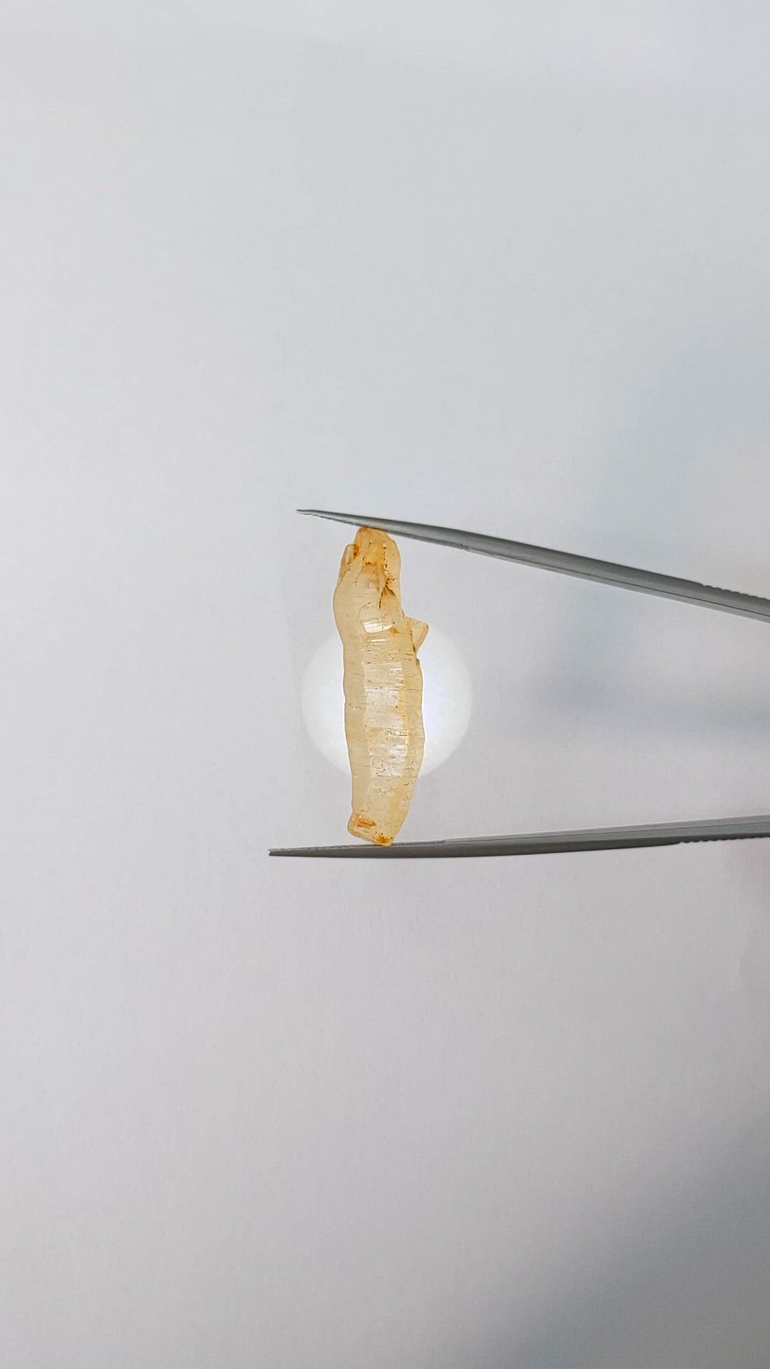 24.68 Ct. Yellow Sapphire from Ceylon (Sri Lanka) Size Video
