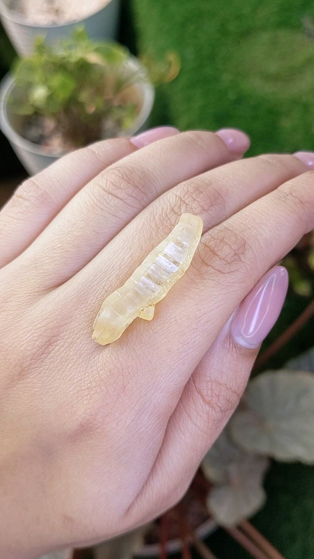 24.68 Ct. Yellow Sapphire from Ceylon (Sri Lanka) Size Video