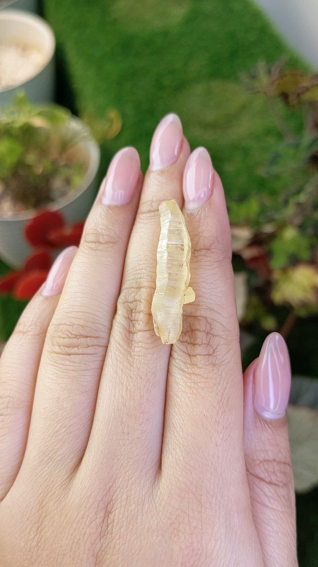 24.68 Ct. Yellow Sapphire from Ceylon (Sri Lanka) Size Video