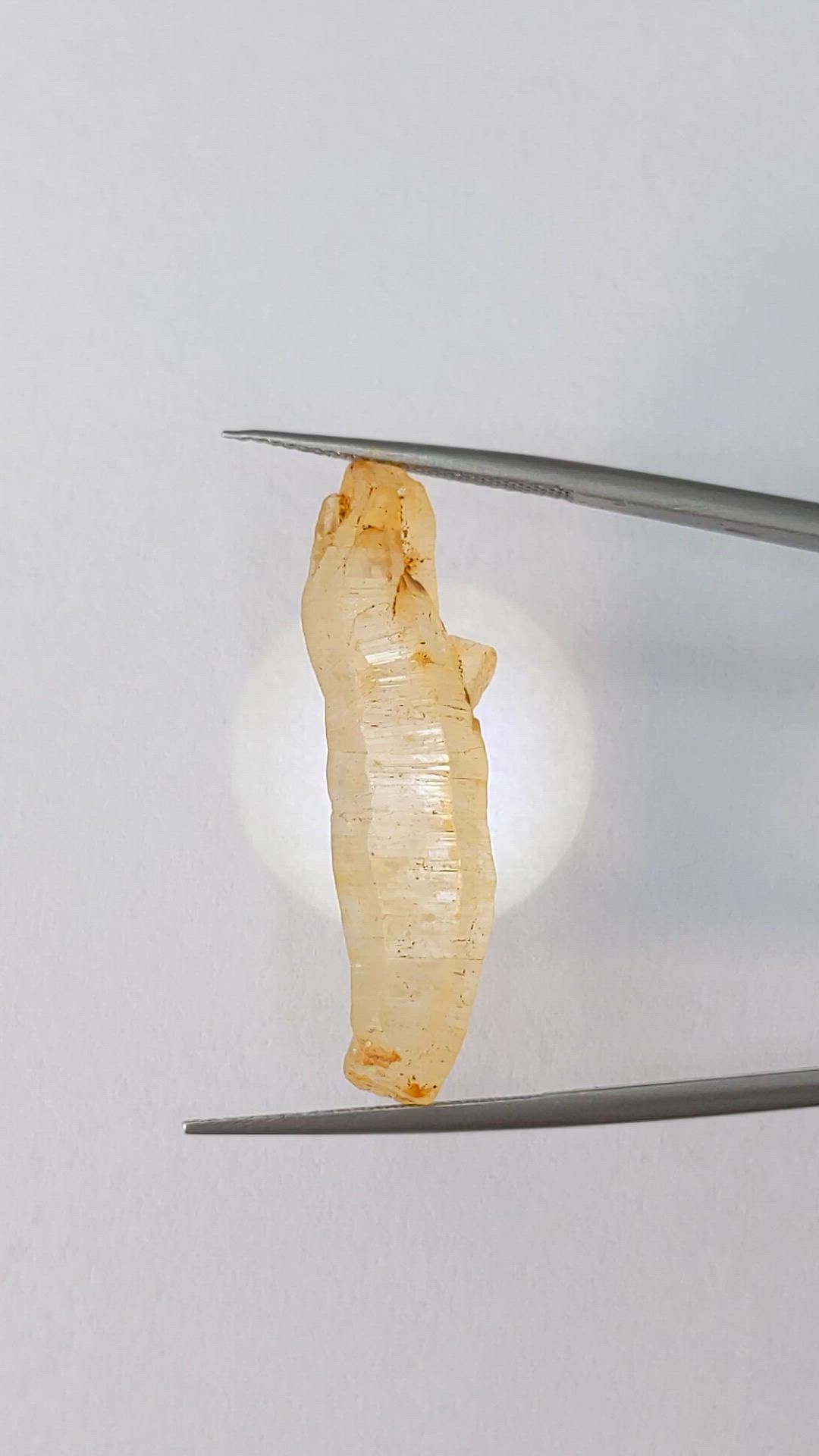 24.68 Ct. Yellow Sapphire from Ceylon (Sri Lanka) Size Video