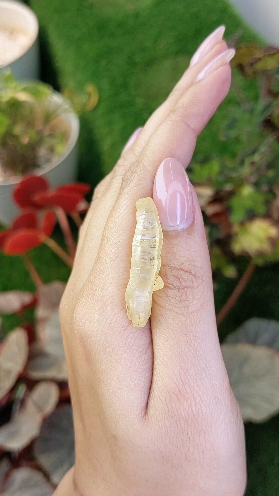 24.68 Ct. Yellow Sapphire from Ceylon (Sri Lanka) Size Video