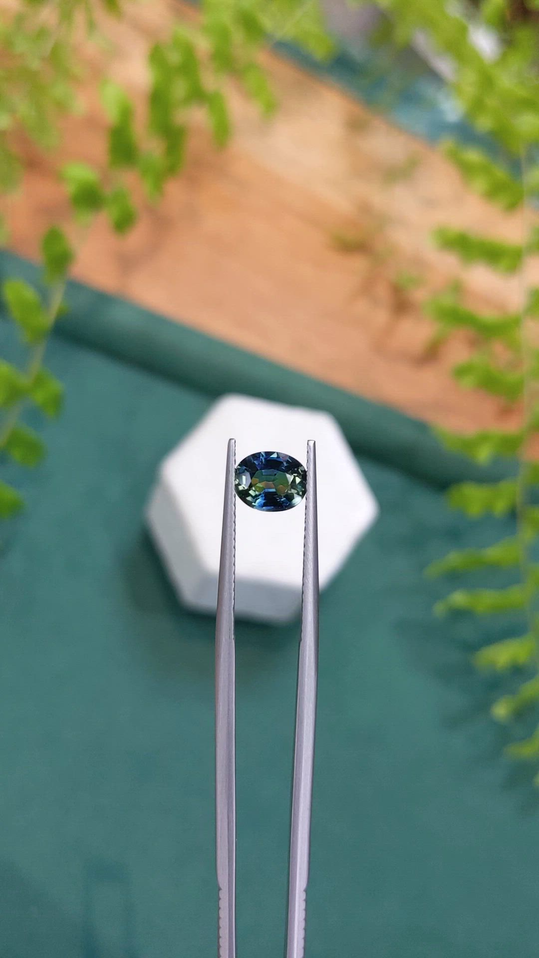 1.48 Ct. Bi Color / Parti Sapphire from Madagascar Size Video