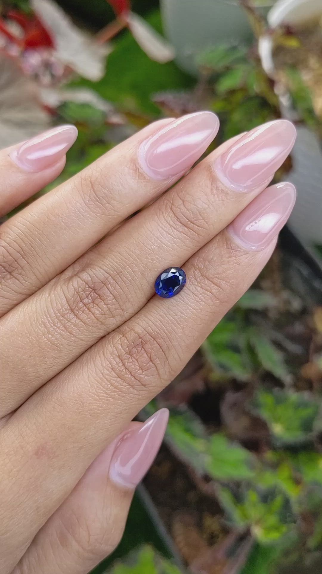 1.27 Ct. Blue Sapphire from Ceylon (Sri Lanka) Size Video