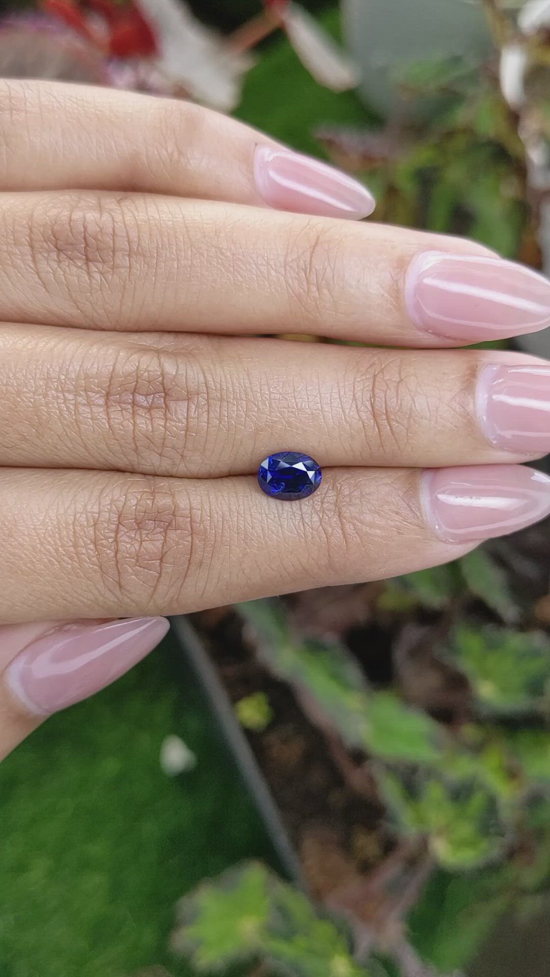 1.27 Ct. Blue Sapphire from Ceylon (Sri Lanka) Size Video