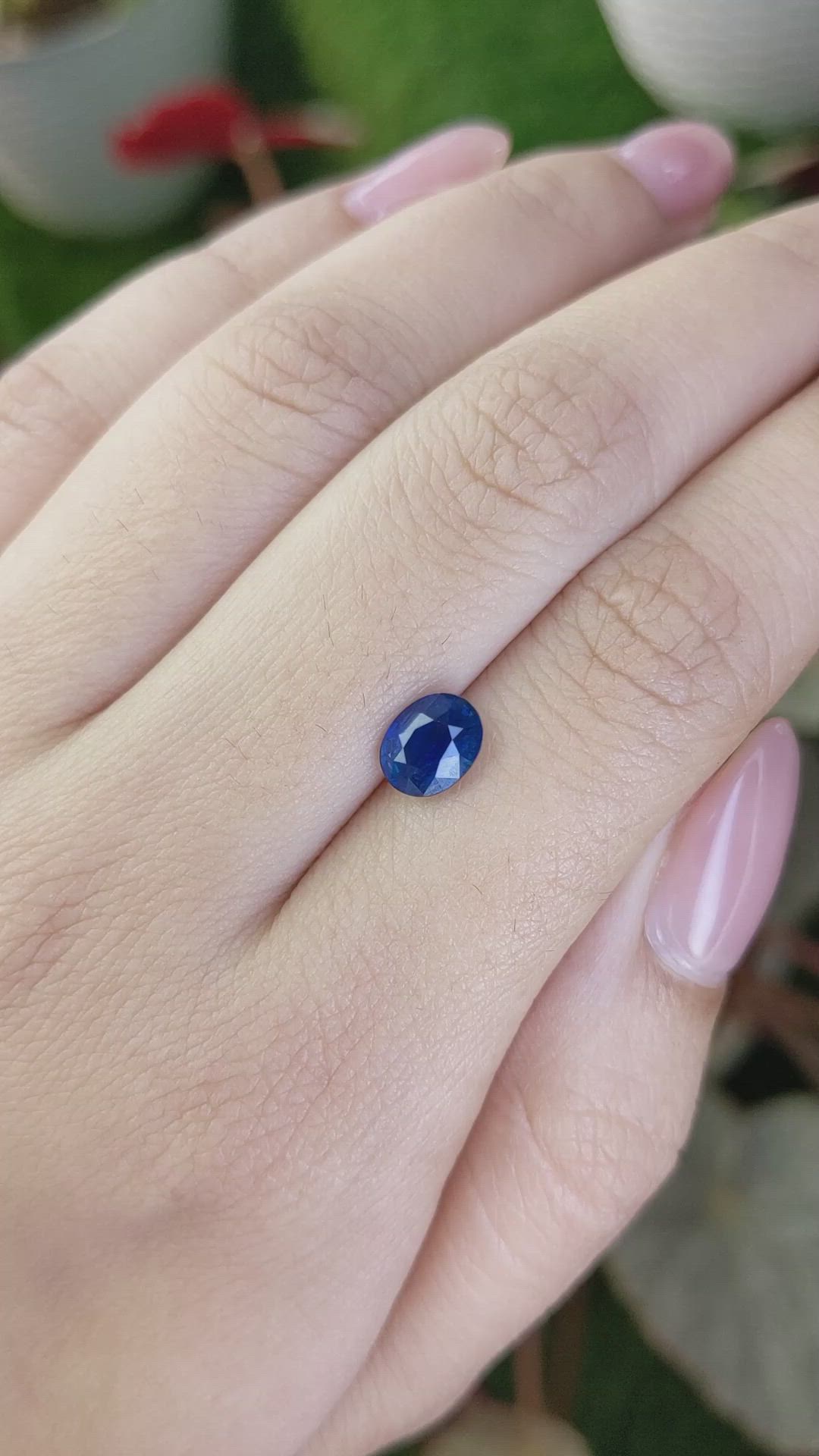 1.53 Ct. Blue Sapphire from Ceylon (Sri Lanka) Size Video