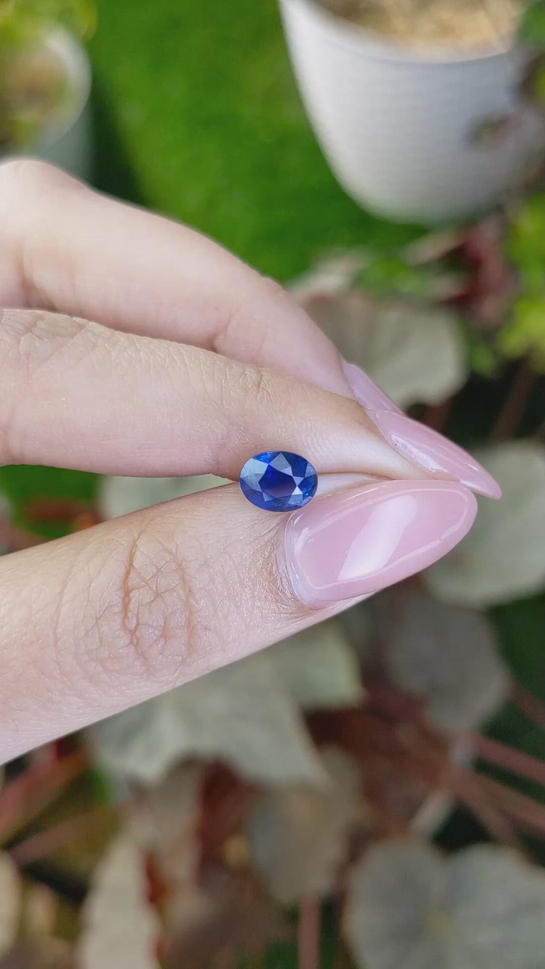 1.53 Ct. Blue Sapphire from Ceylon (Sri Lanka) Size Video