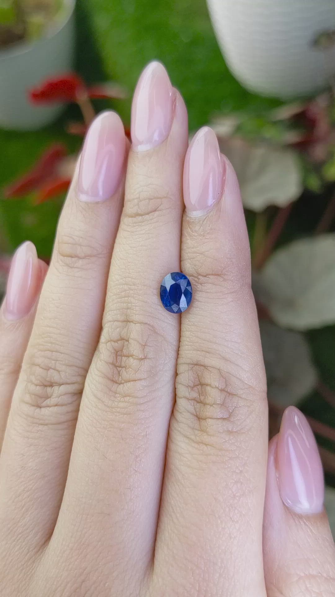 1.53 Ct. Blue Sapphire from Ceylon (Sri Lanka) Size Video