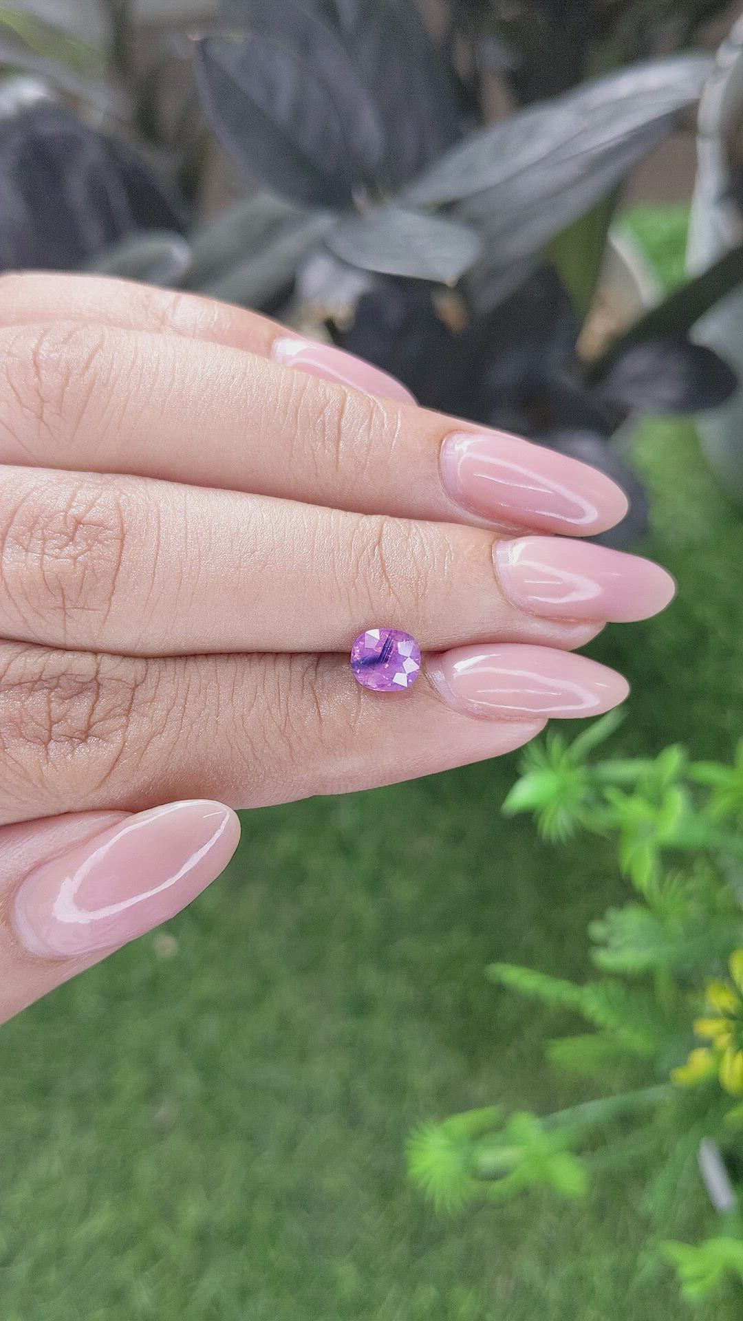 1.24 Ct. Pinkish Purple Sapphire from Vietnam Size Video