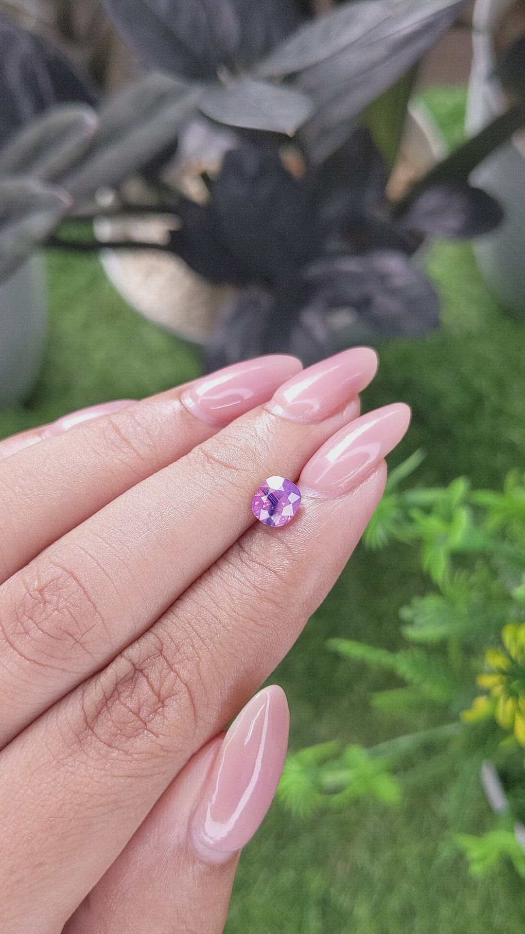 1.24 Ct. Pinkish Purple Sapphire from Vietnam Size Video