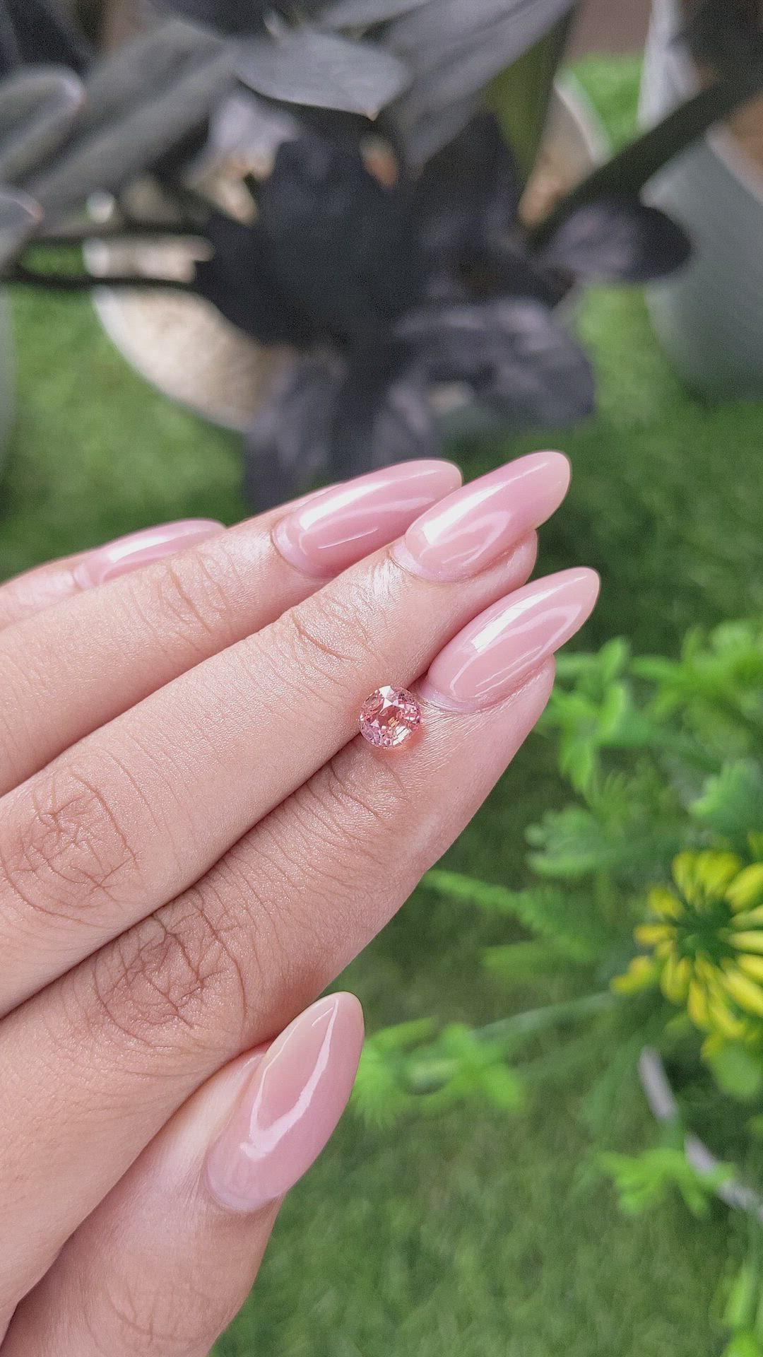 1.05 Ct. Padparadscha Sapphire from Ceylon (Sri Lanka) Size Video