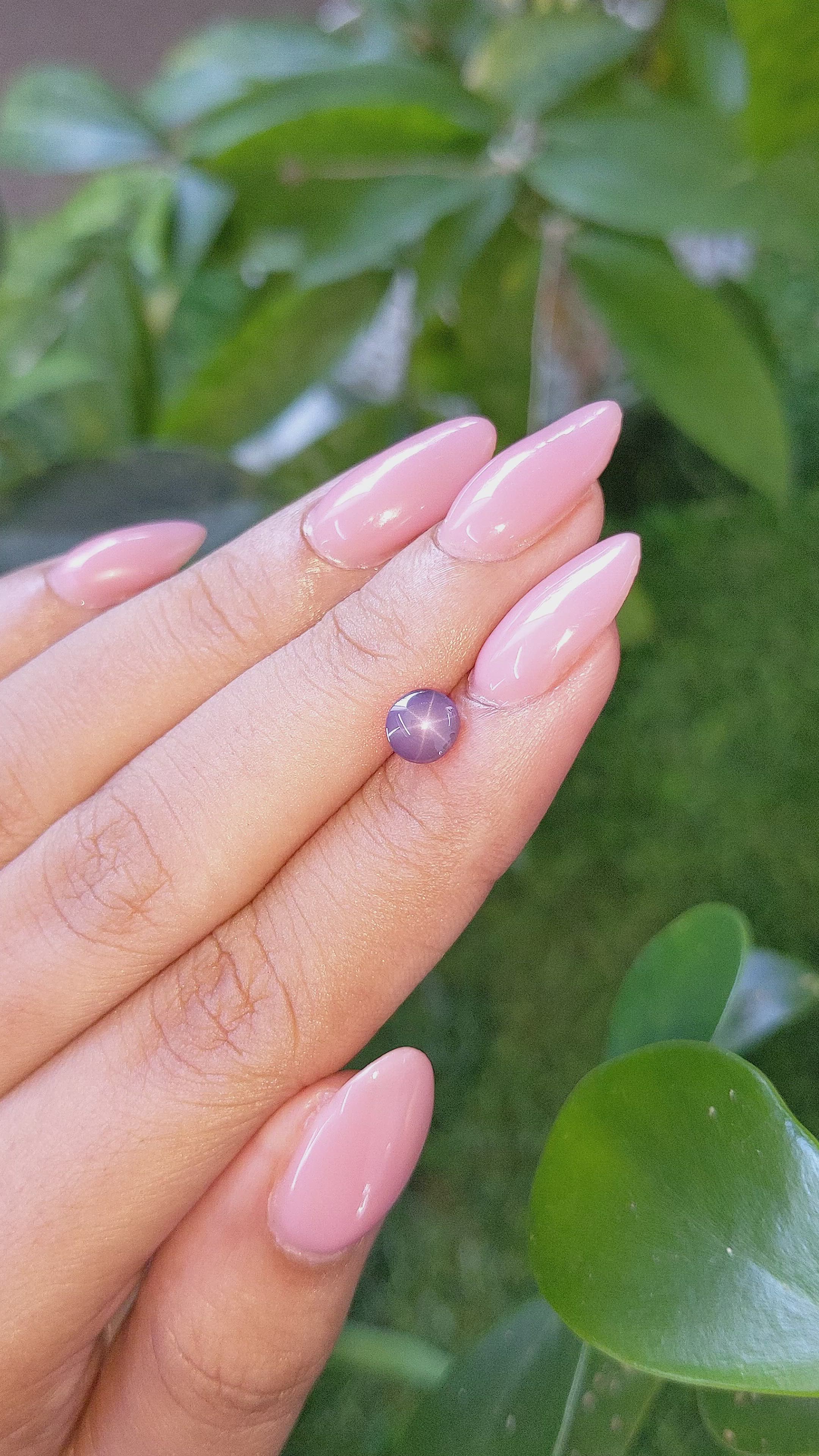 1.02 Ct. Purple Star Sapphire from Ceylon (Sri Lanka) Size Video