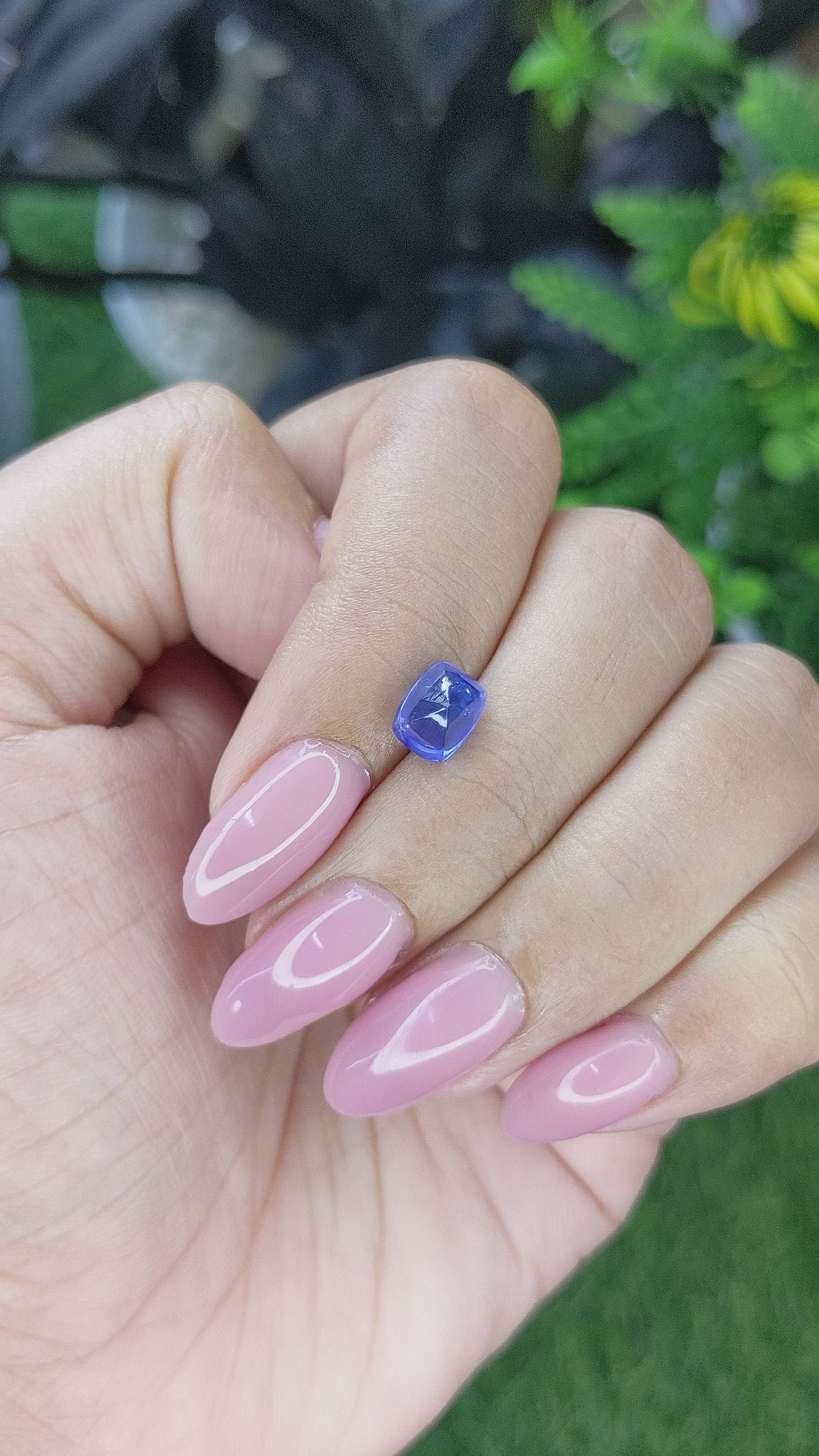 2.04 Ct. Blue Cabochon Sapphire from Ceylon (Sri Lanka) Size Video