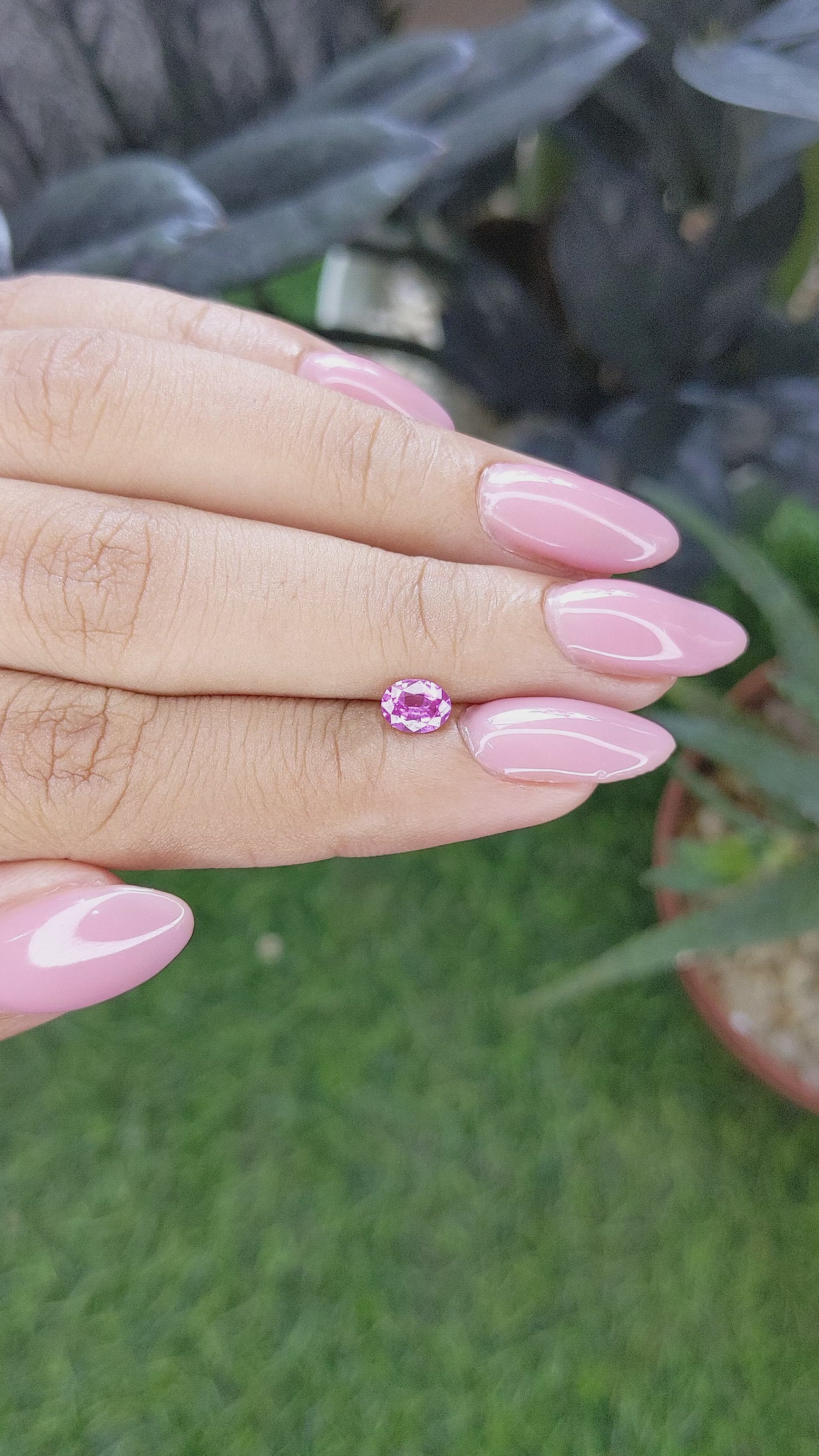 0.52 Ct. Purplish Pink Sapphire from Ceylon (Sri Lanka) Size Video